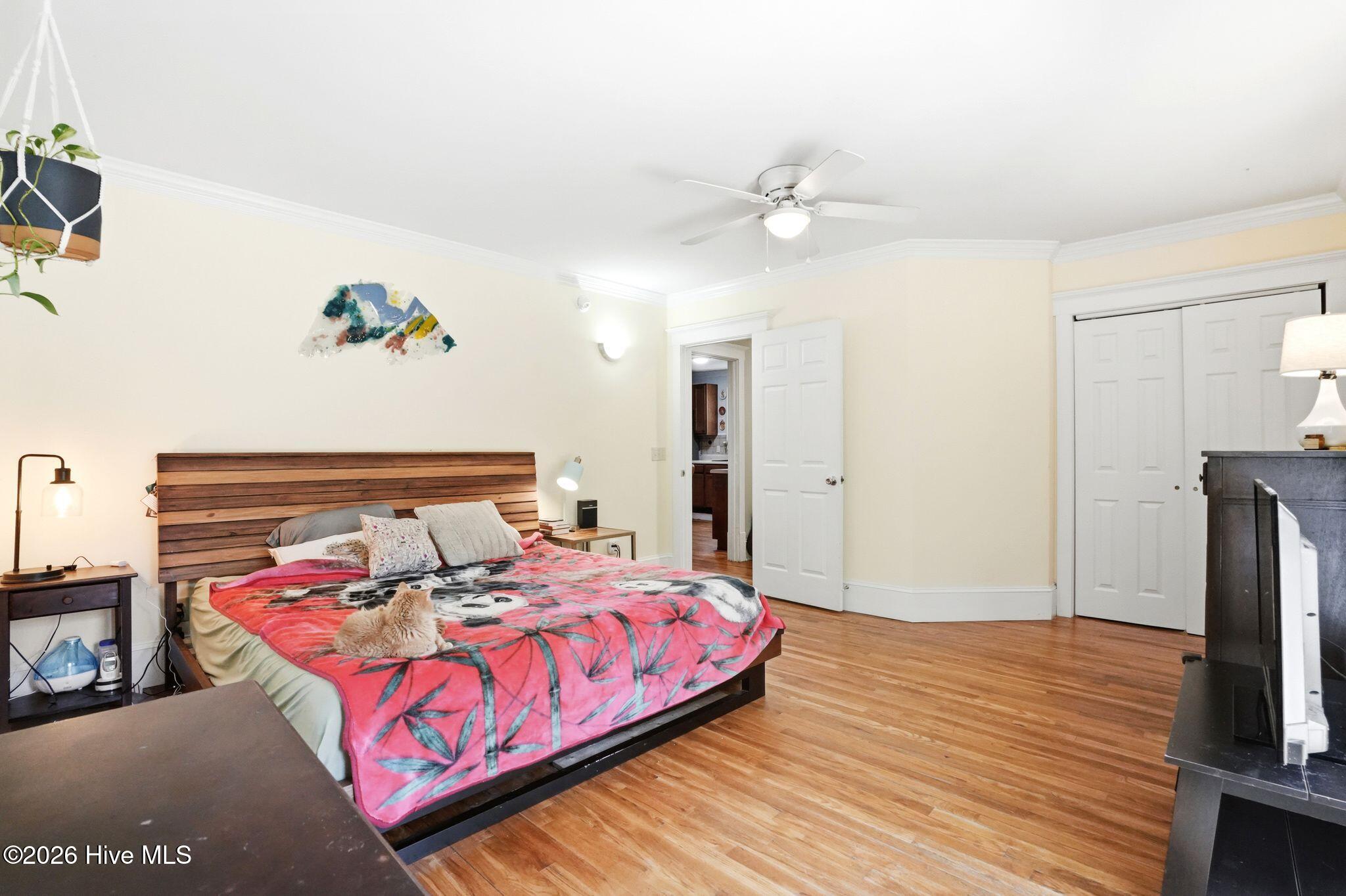 100564510 | Photo 49