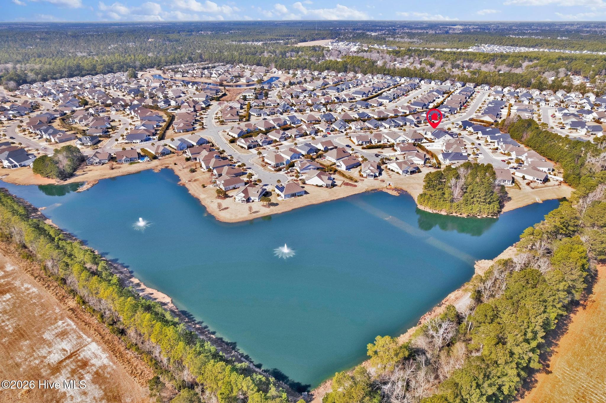 100554312 | Photo 36