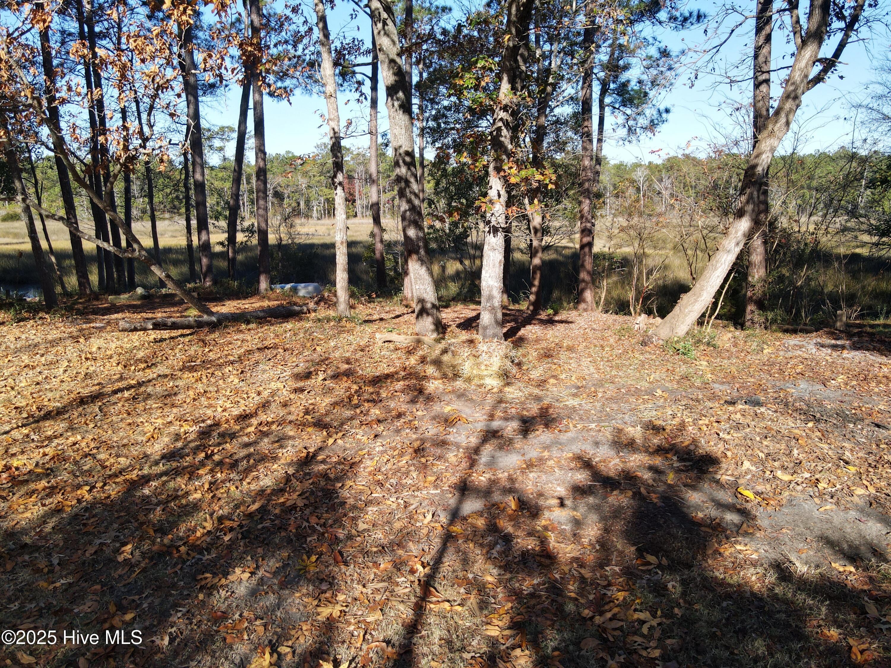 100543289 | Photo 46