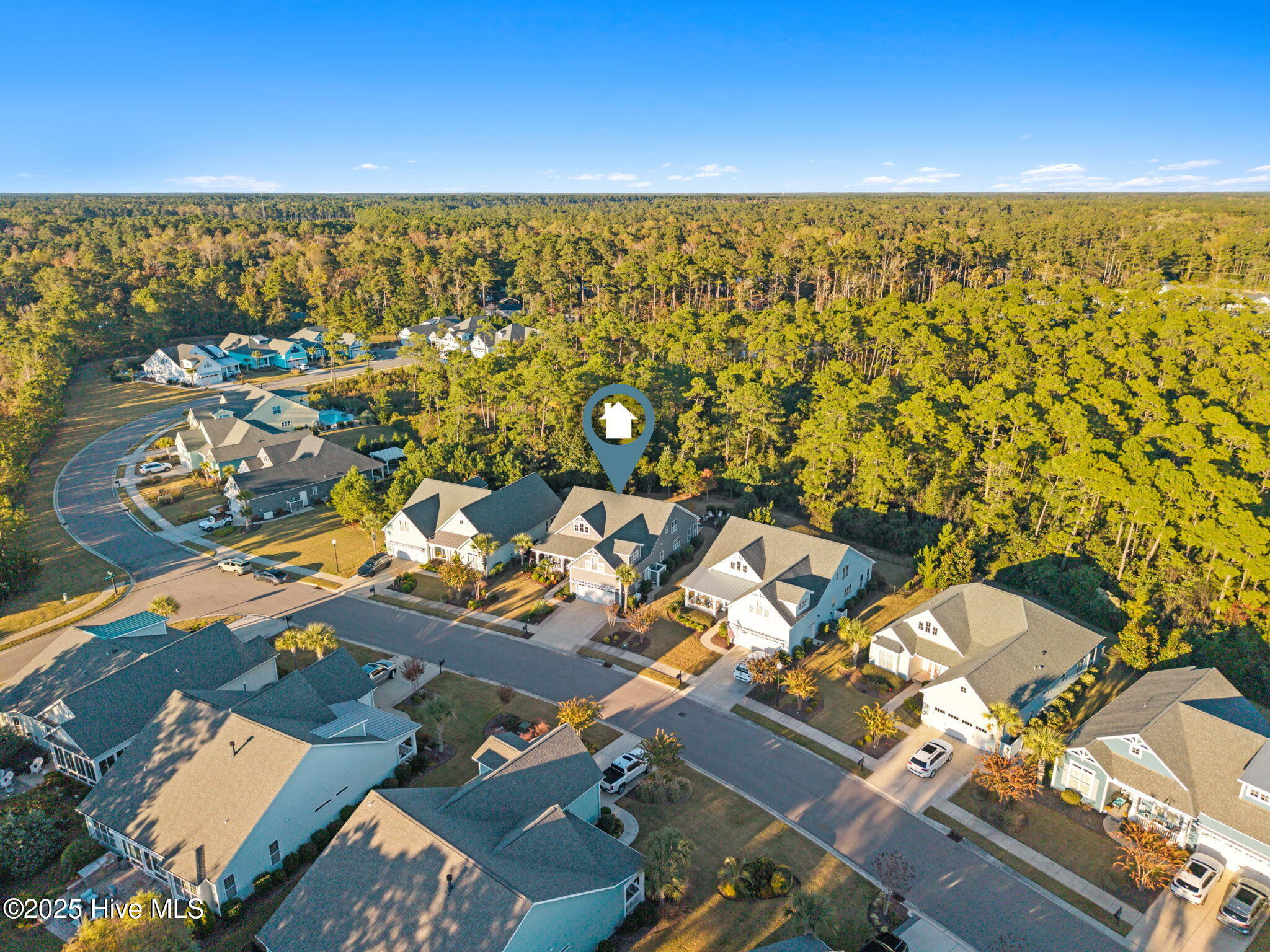 100539203 | Photo 54