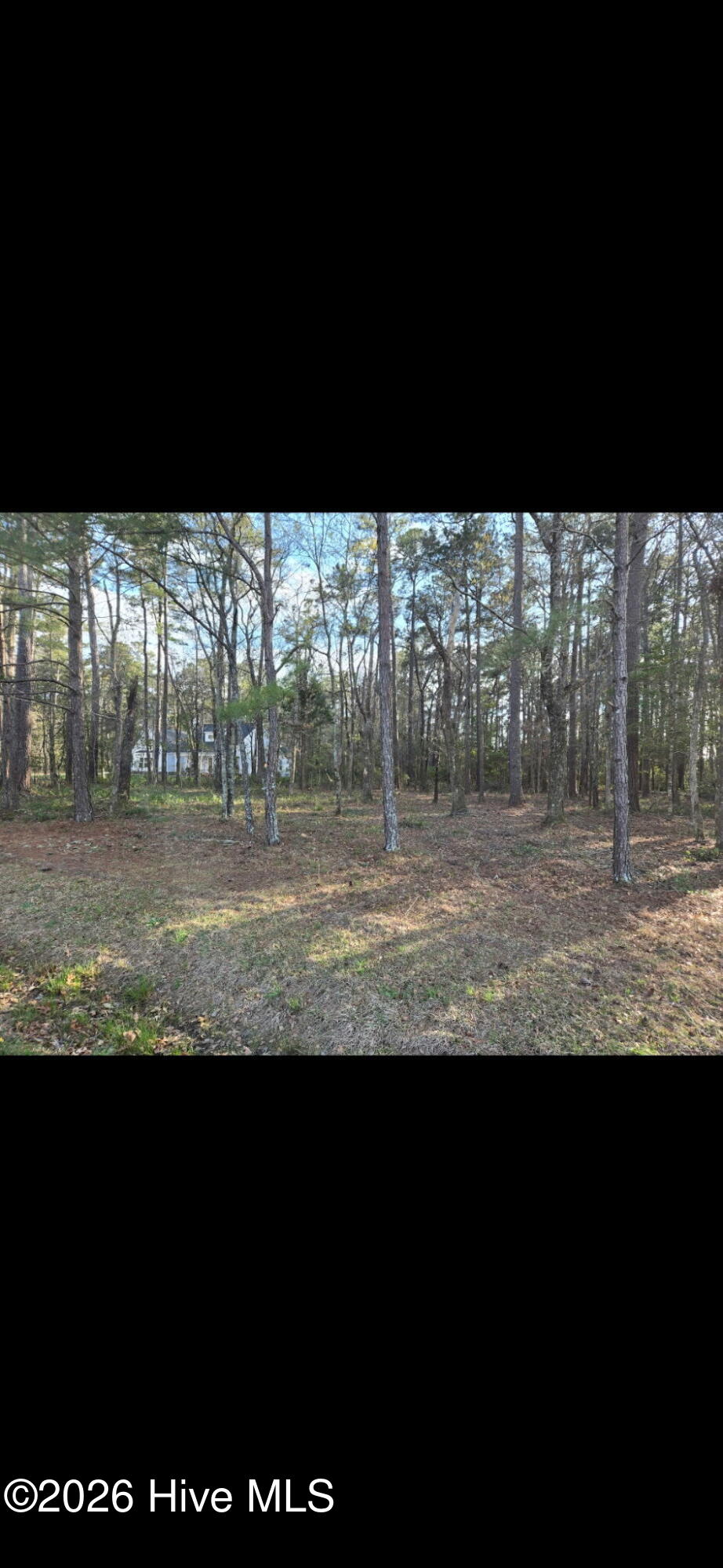 201 38 Long Creek Drive,Havelock
