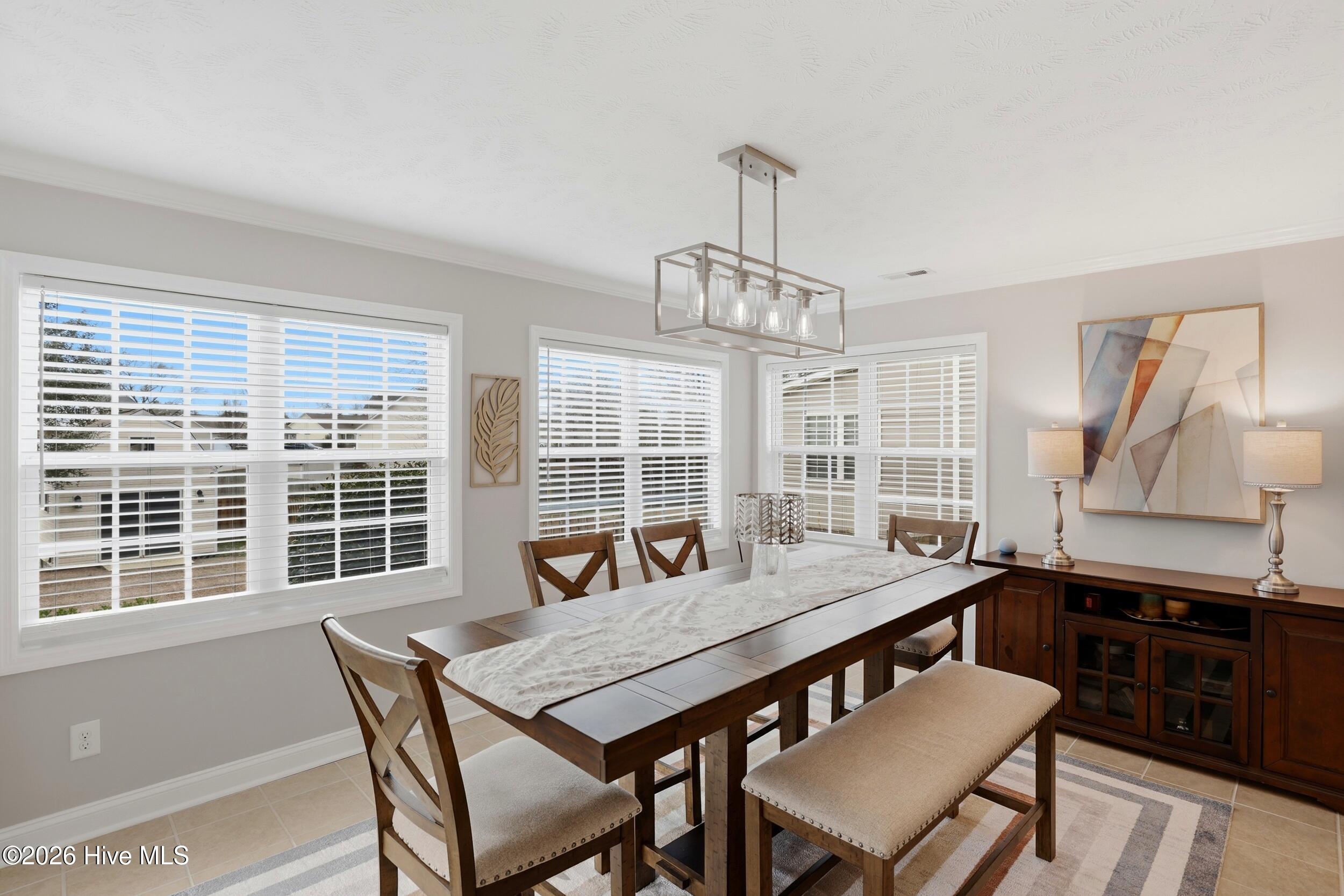 100558119 | Photo 16