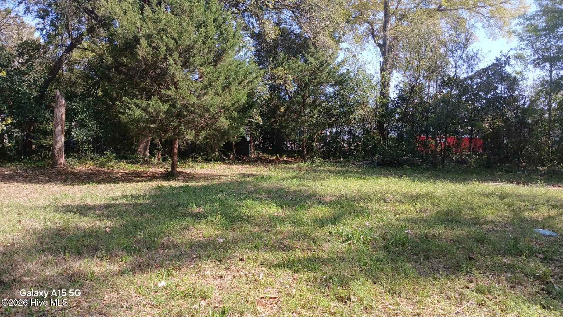 100555338 | Photo 14