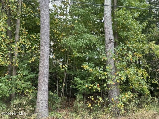 Land for sale at 29 S Lakeshore Dr, Carthage, NC 28327 | MLS# 100608062