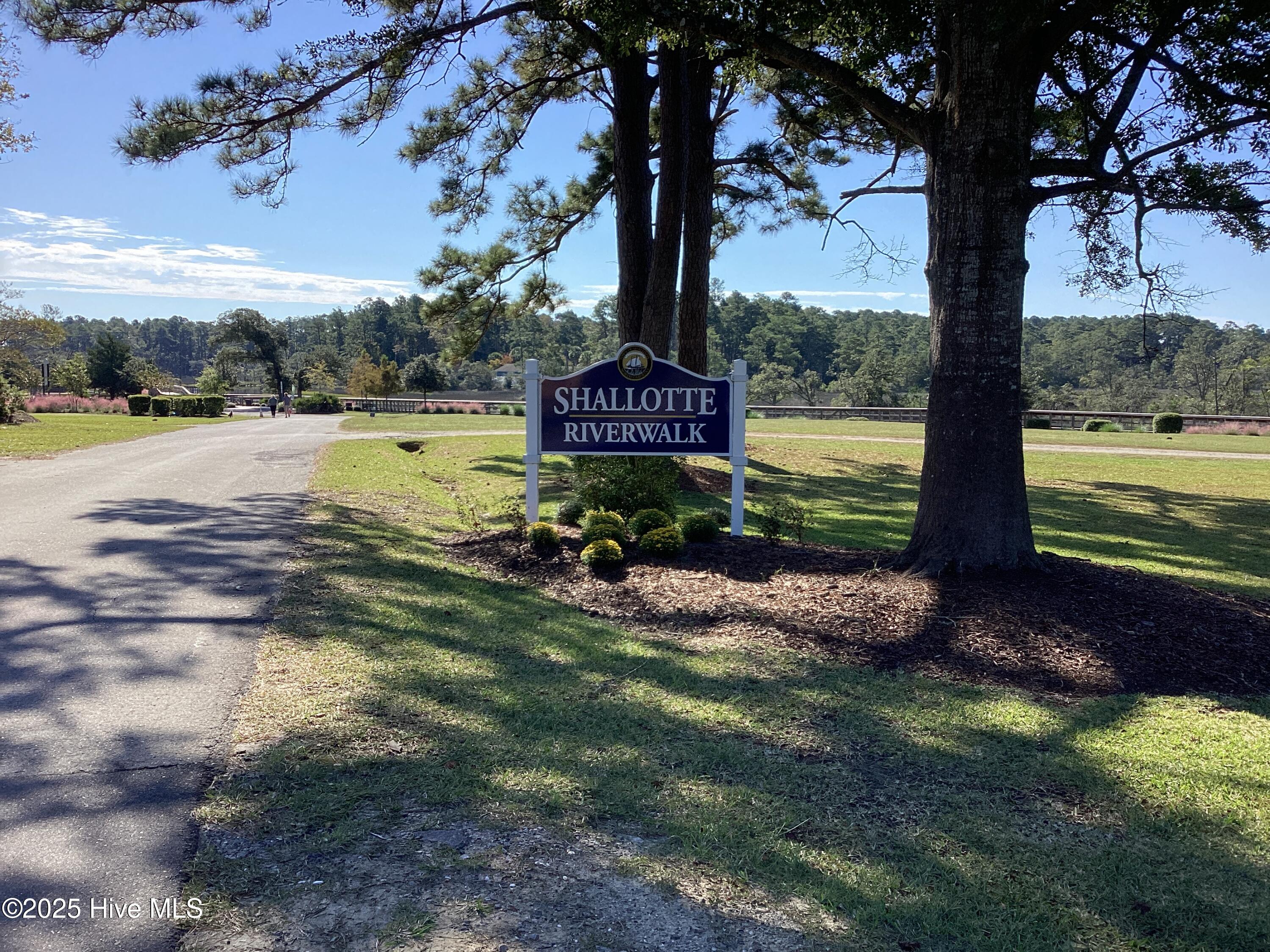 100537242 | Photo 51