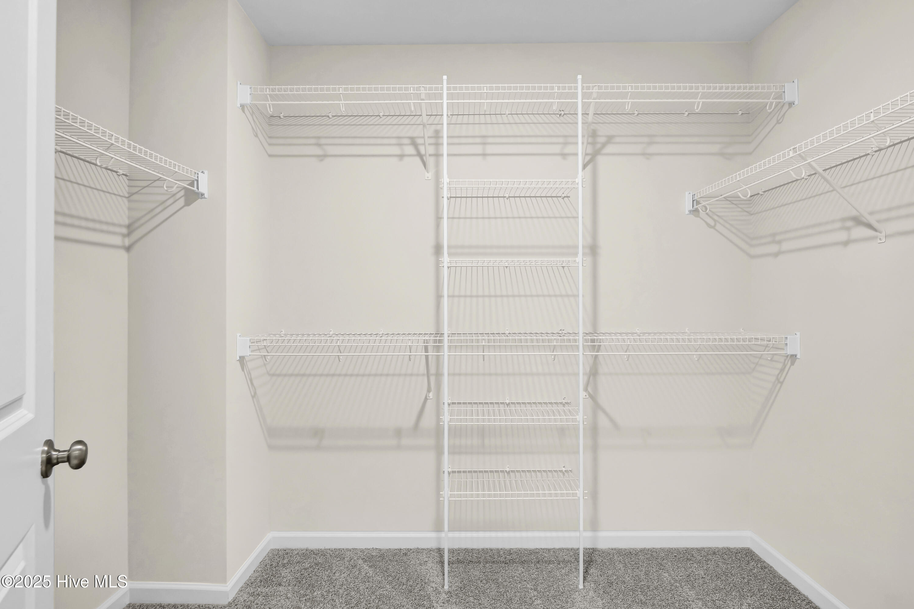 100514629 | Photo 20