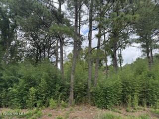 2nd image of 1298 Moores Chapel Rd, Lillington, NC 27546 | MLS# 100598632