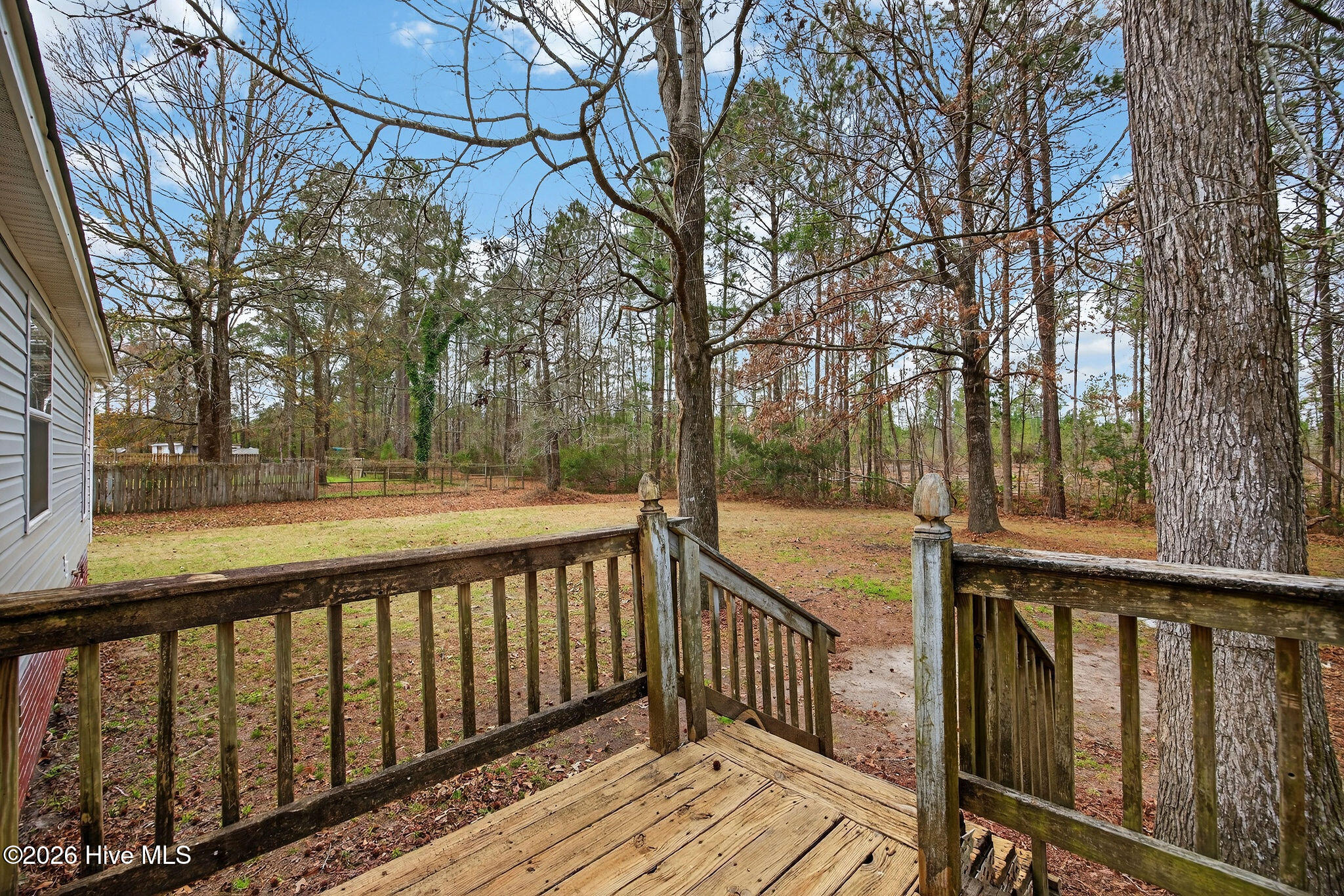 100556800 | Photo 36