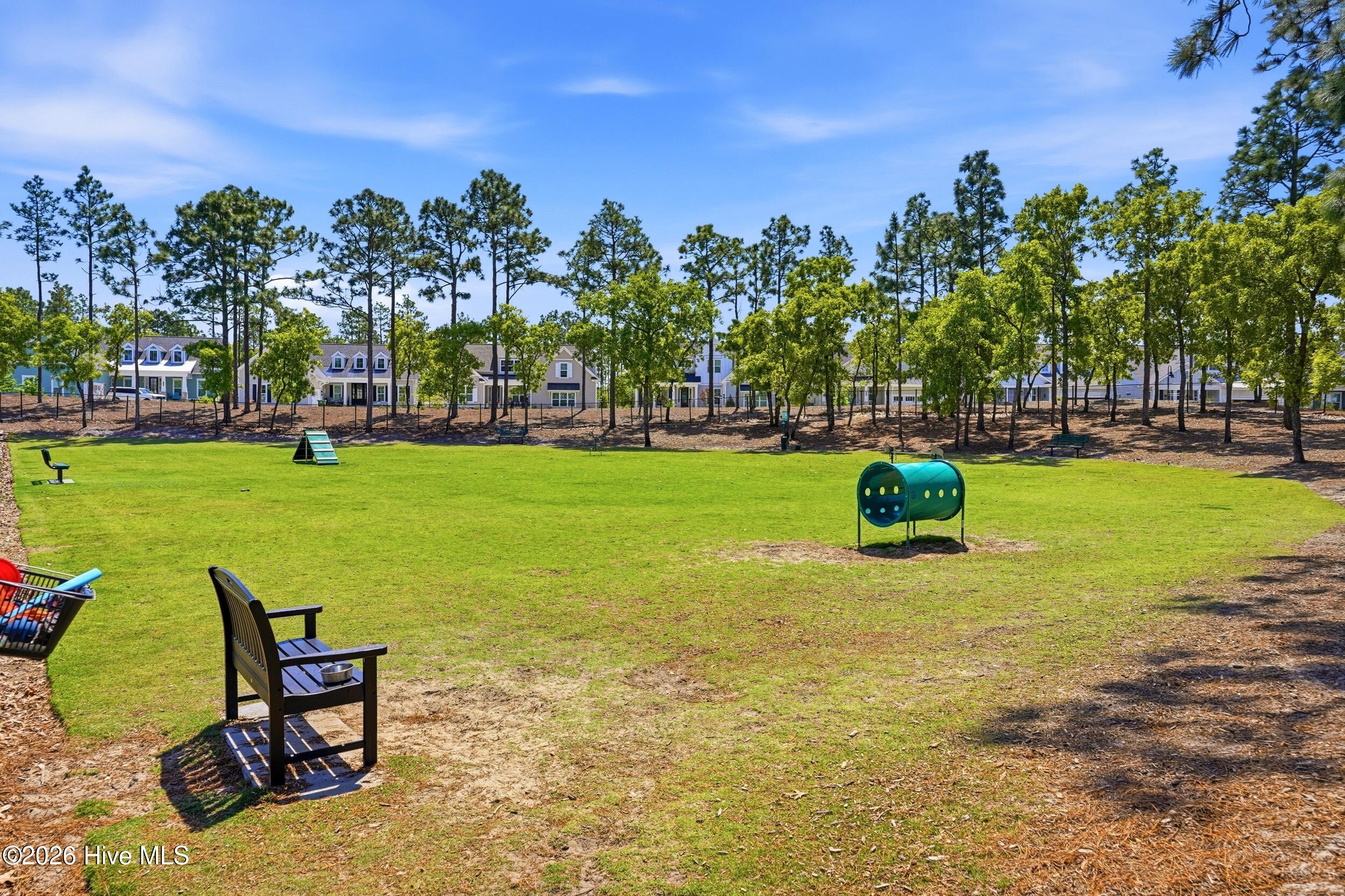 100569050 | Photo 73