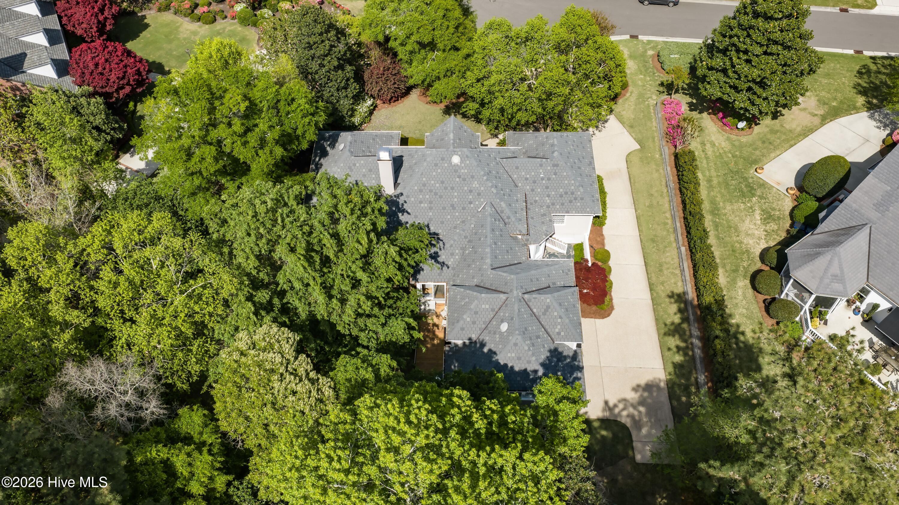 100566013 | Photo 51