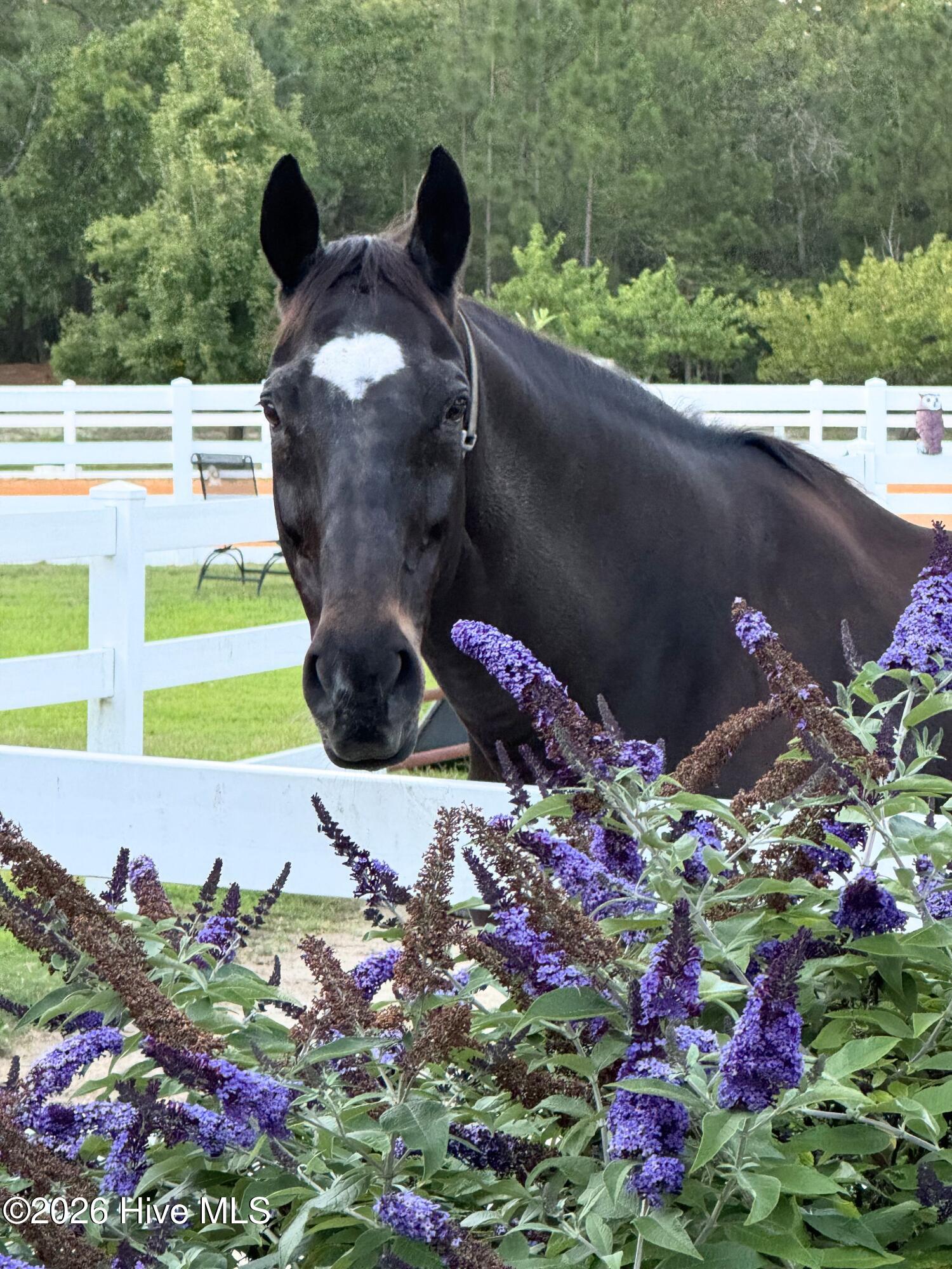 188 Shagbark Road, Seven Lakes, NC, 27376