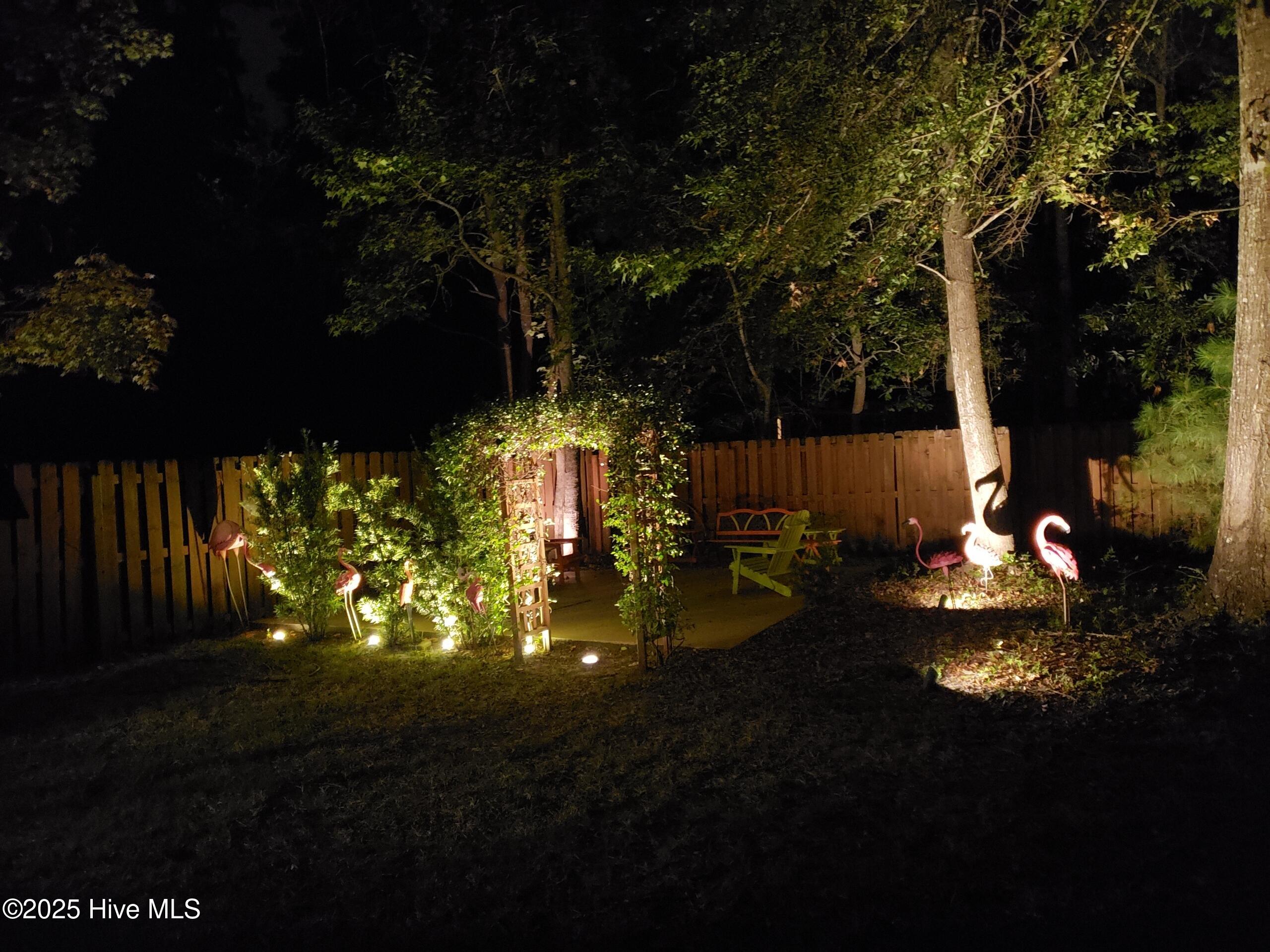 100533907 | Photo 33