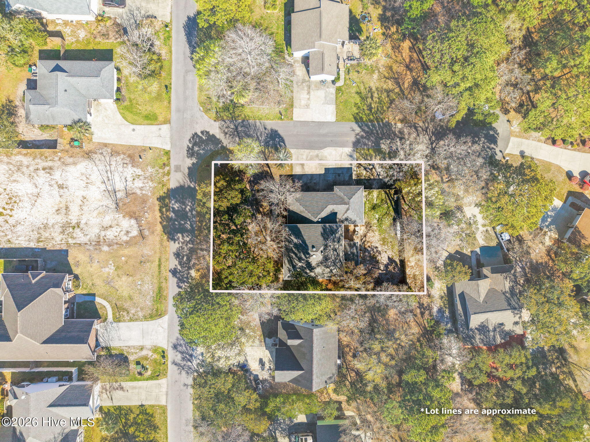 100562881 | Photo 46