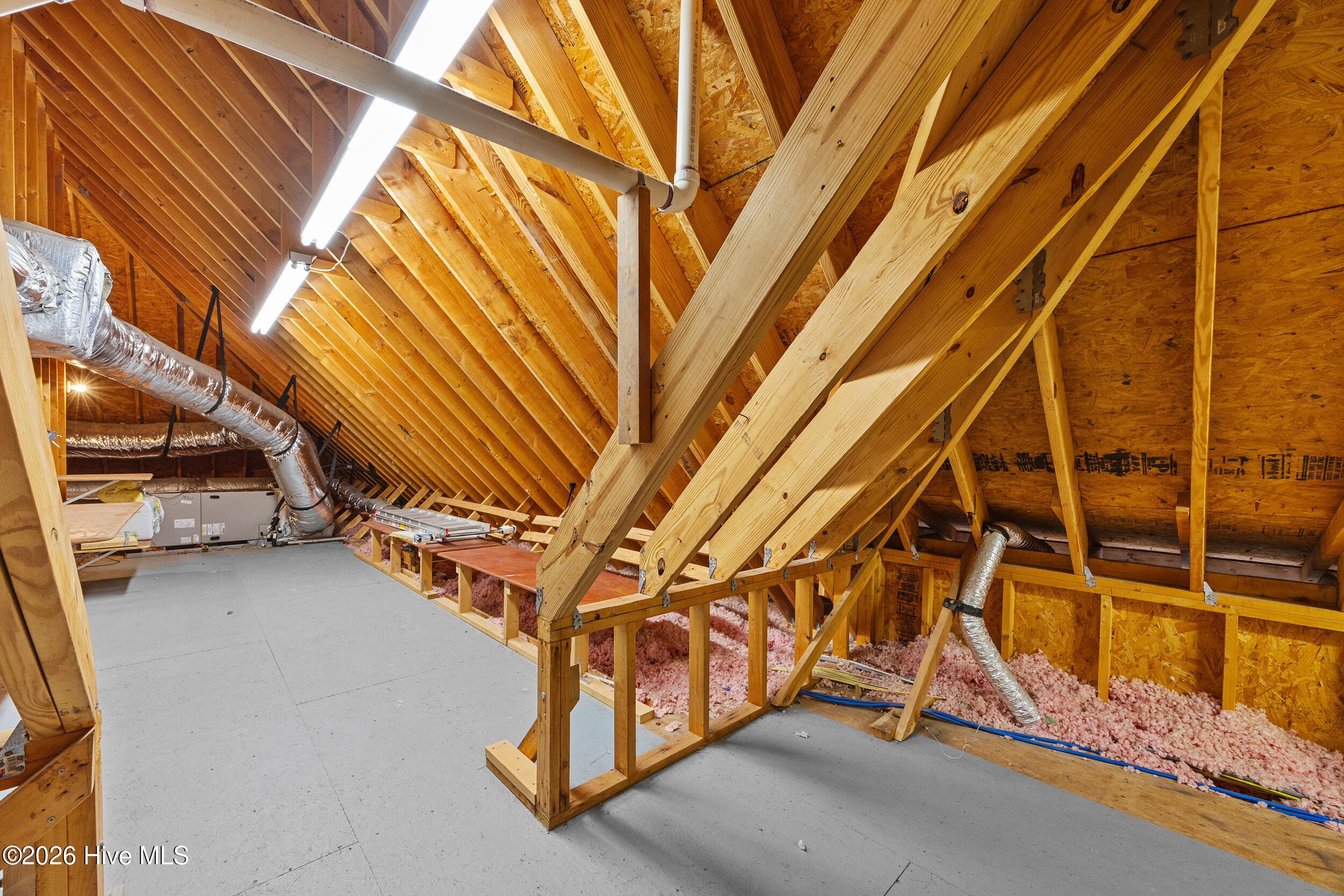 100547162 | Photo 46