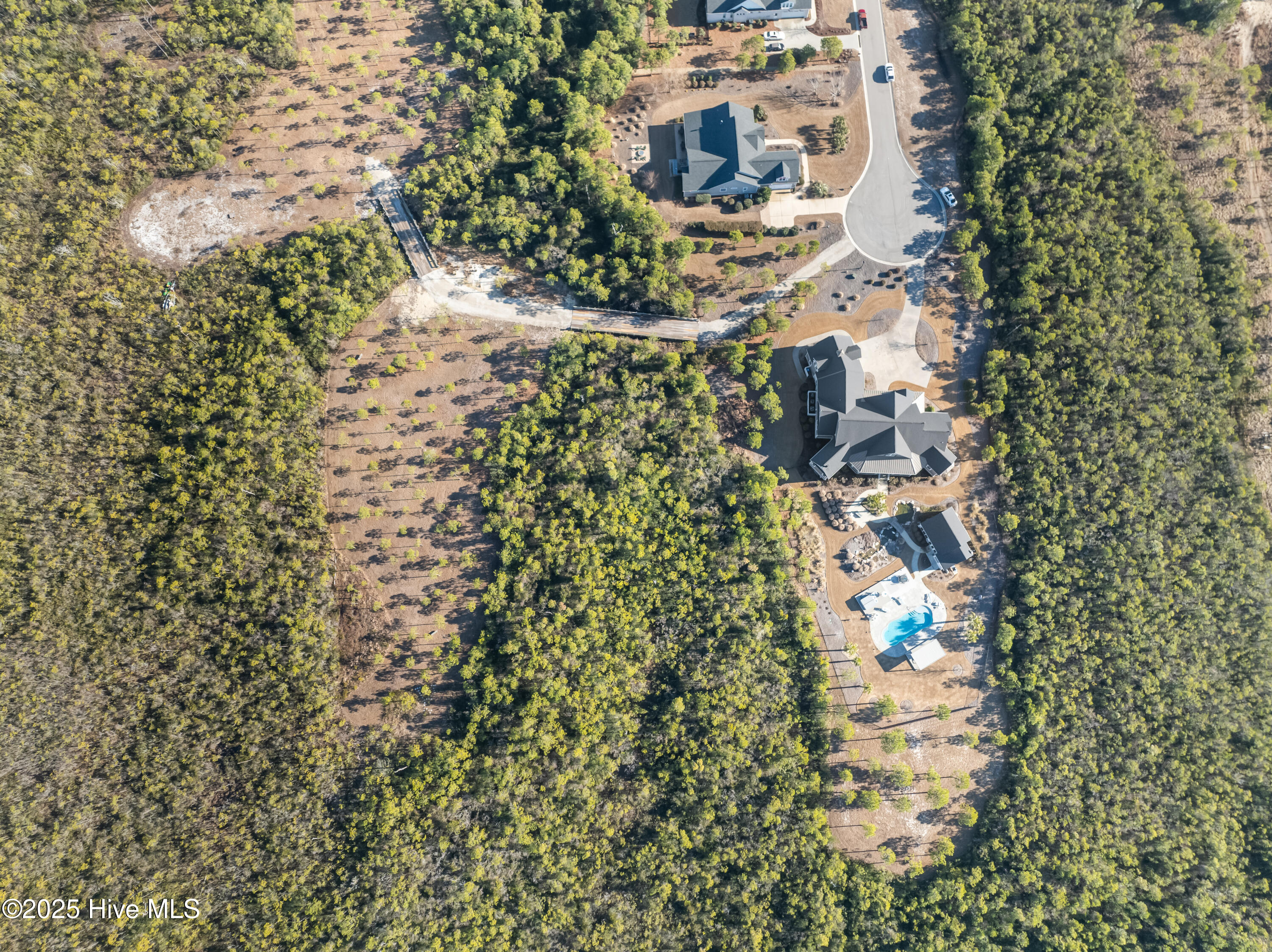 100490322 | Photo 10