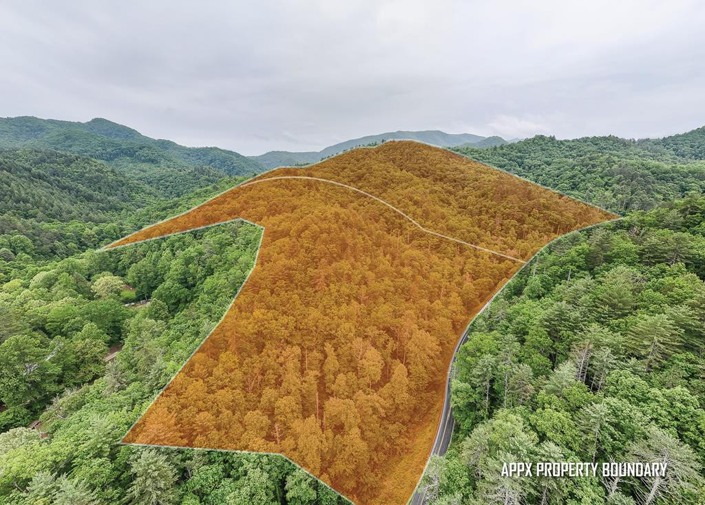 399 Shell Stand, Almond, North Carolina, 0 ,For sale,Shell Stand,98524677 399 Shell Stand, Almond, North Carolina, 0 ,For sale,Shell Stand,98524677