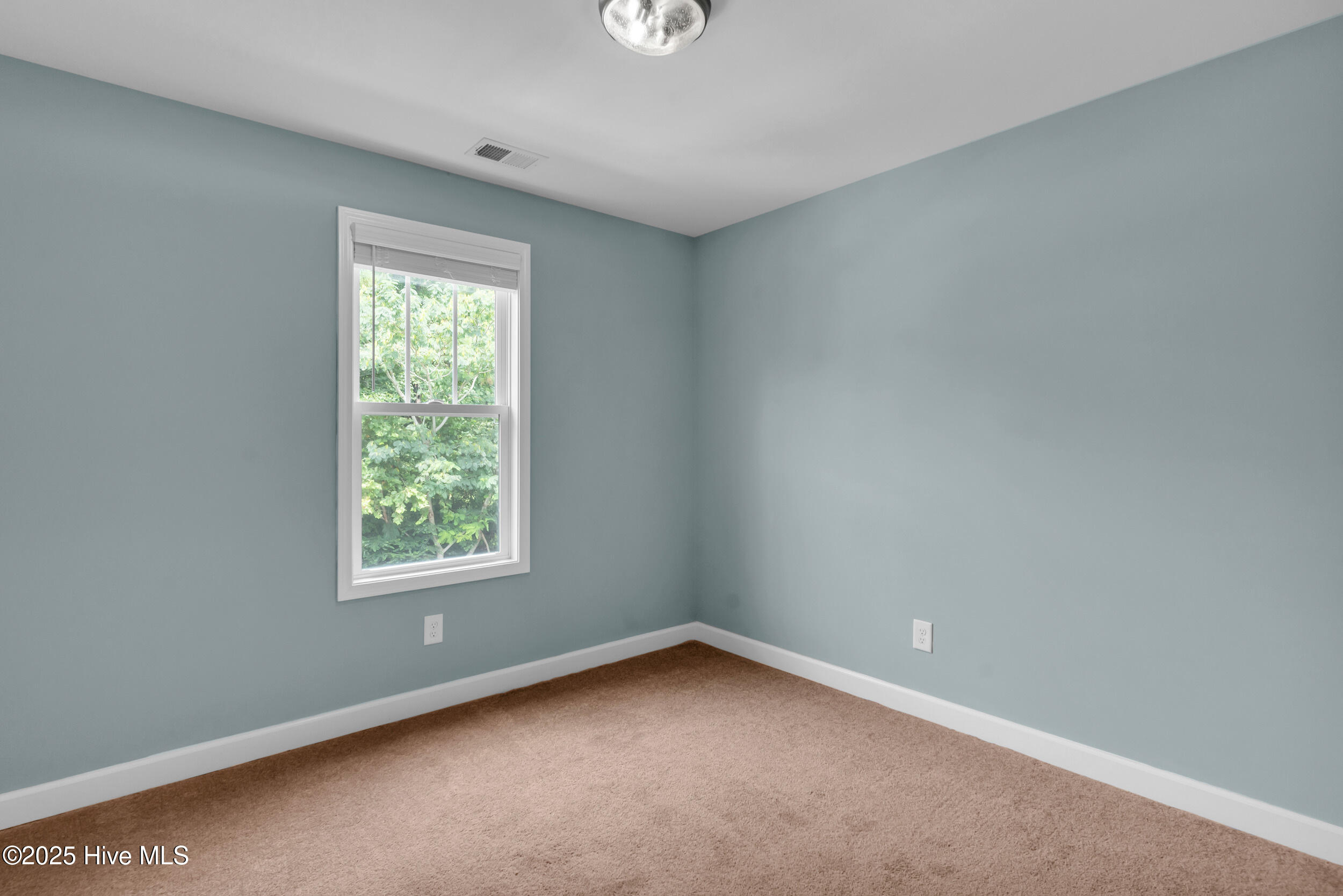 100549260 | Photo 25