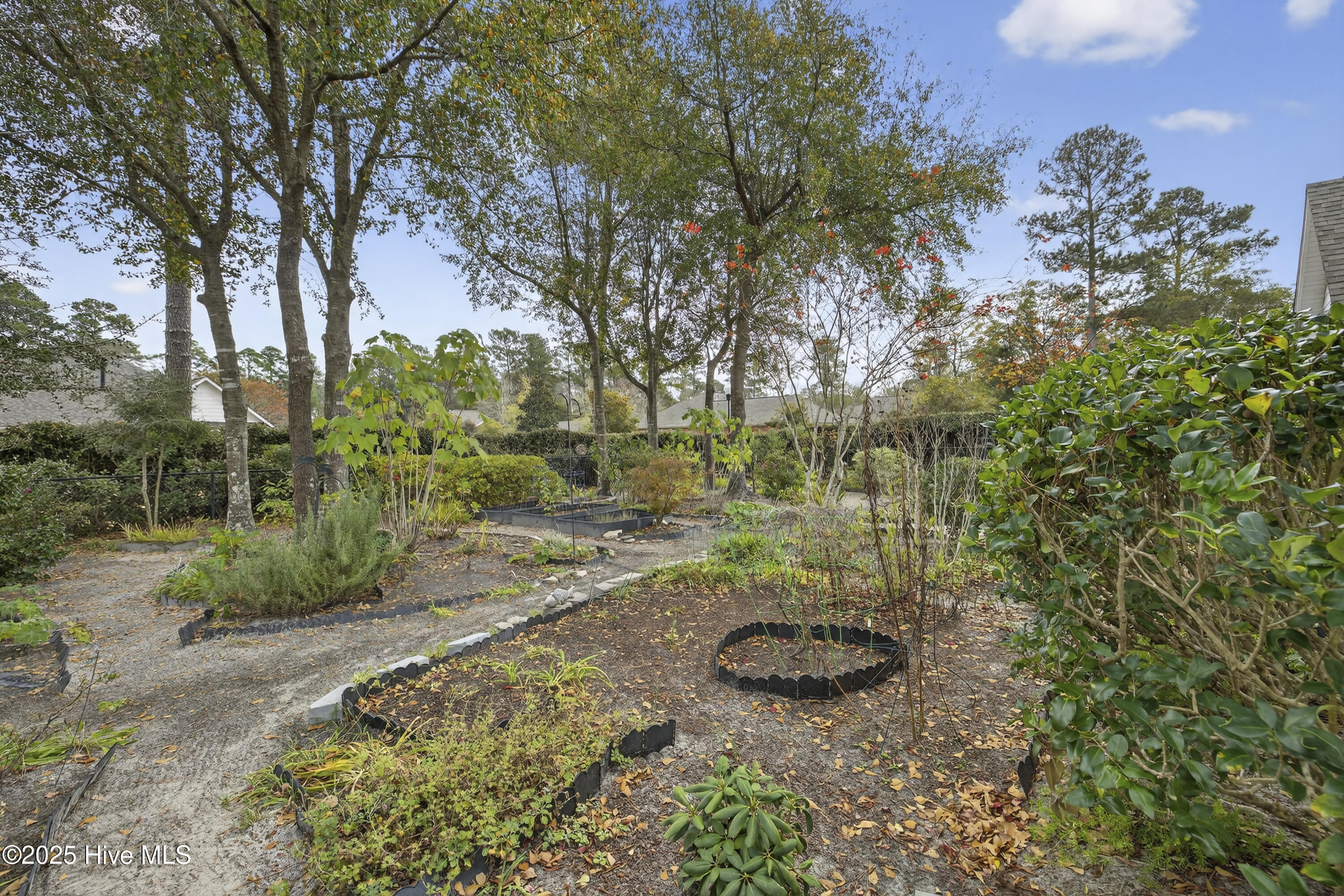 100550150 | Photo 24