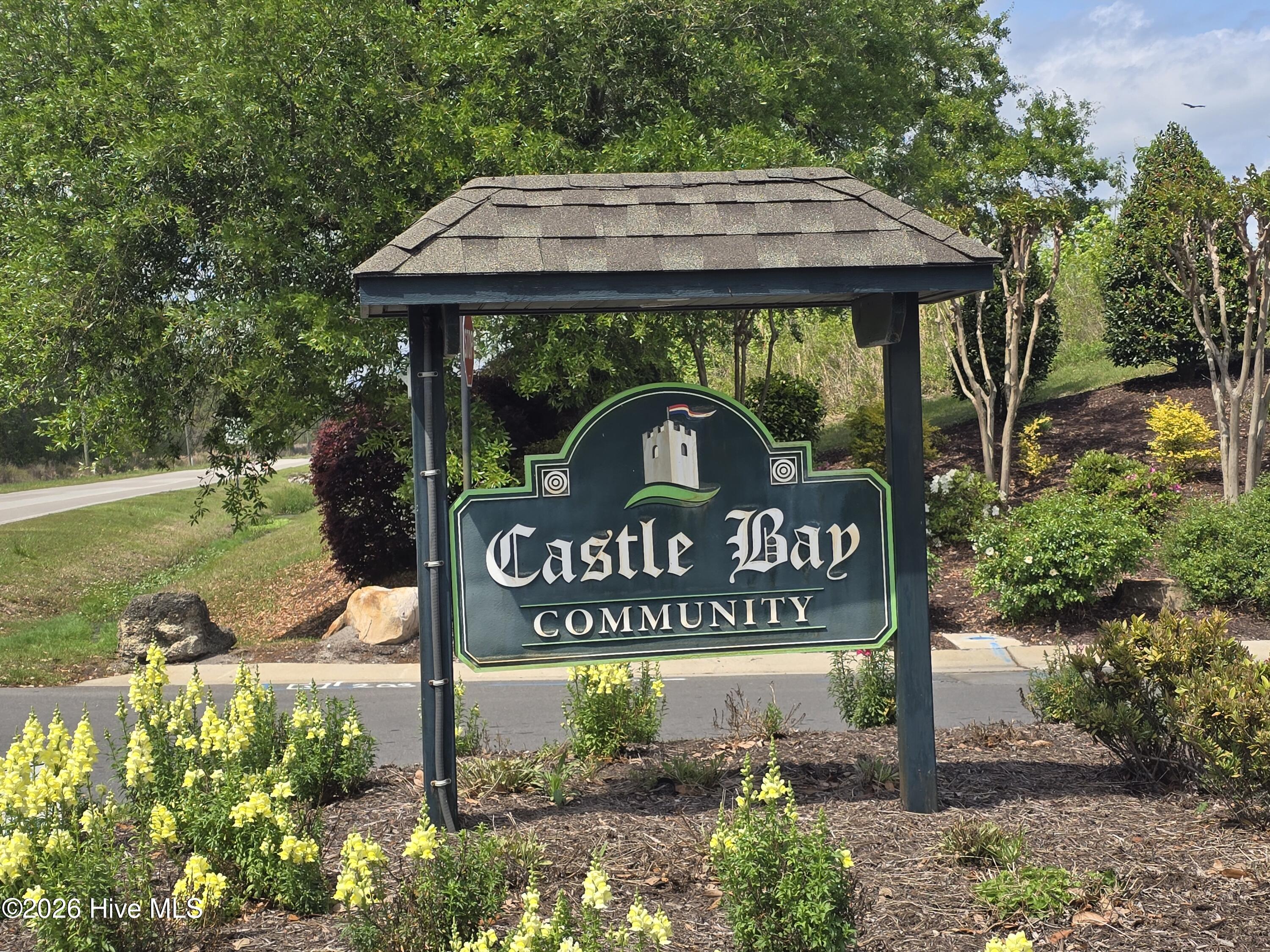 100565502 | Photo 49