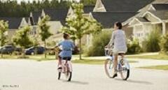 100538452 | Photo 31