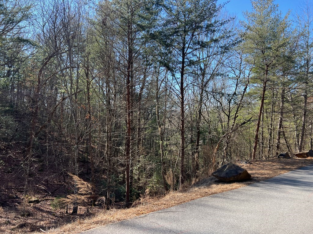 Exterior photo of Lot 19 Mission Ridge, Hayesville, NC 28904. MLS: 98523878