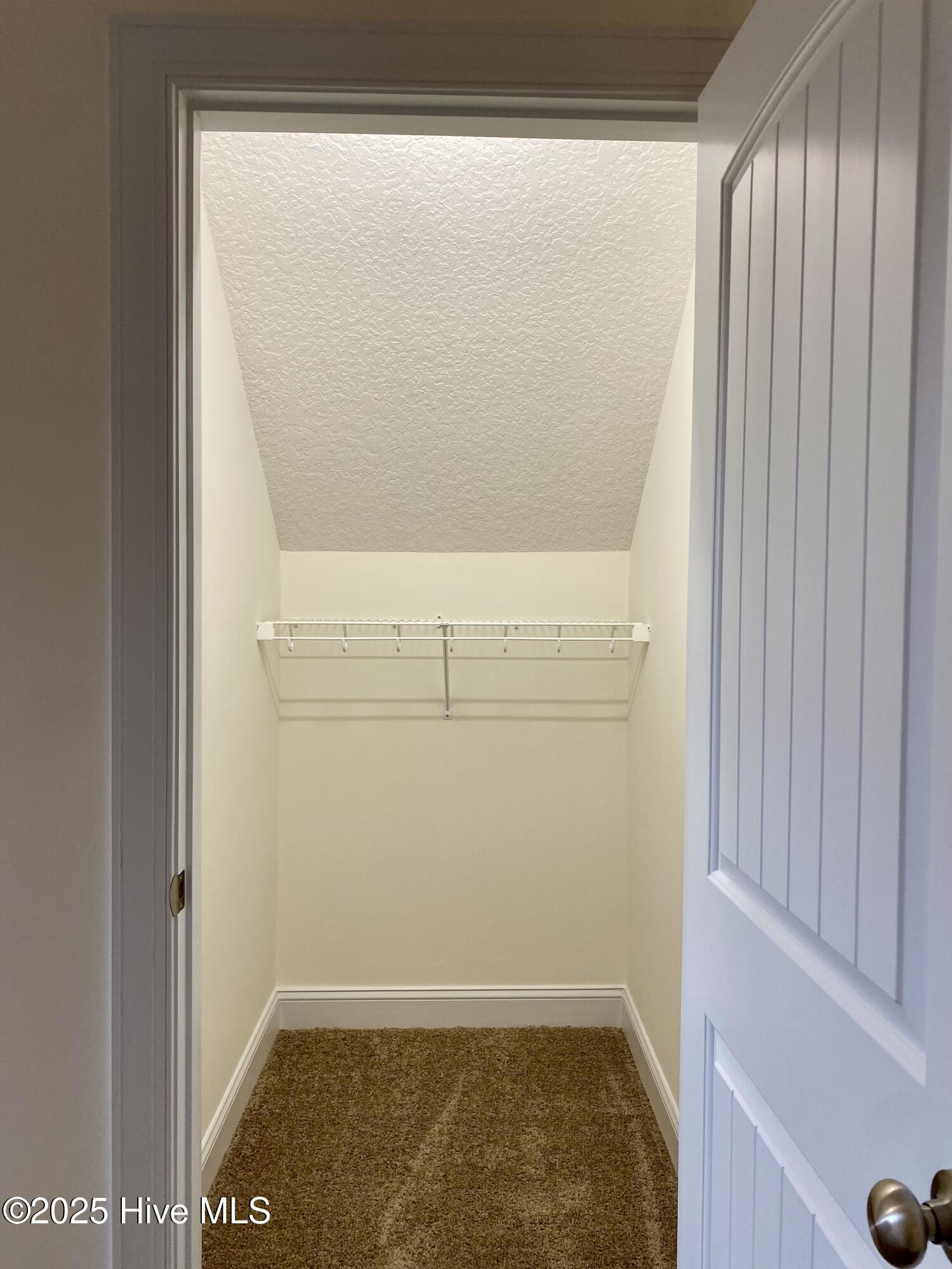 100483147 | Photo 32