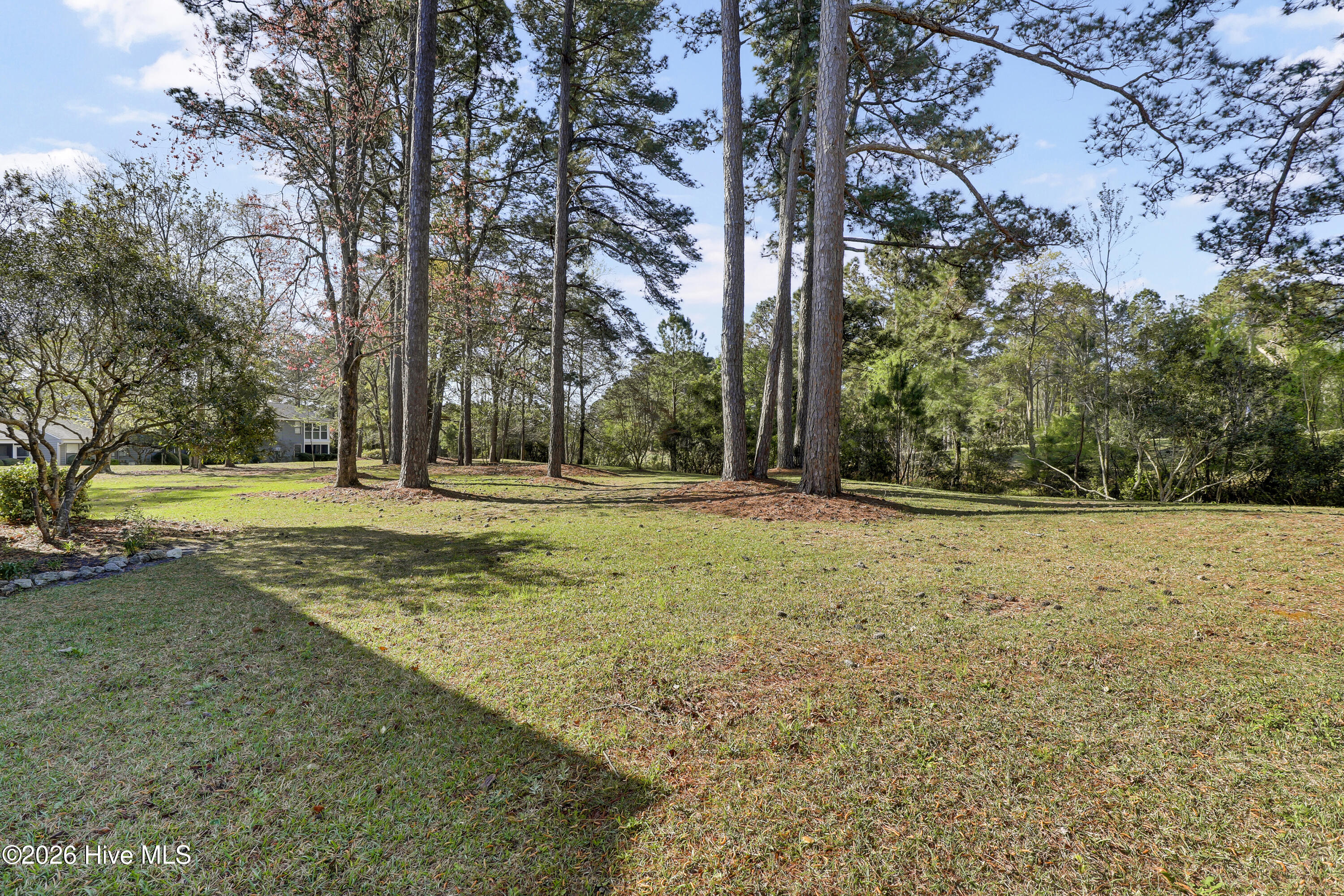 100565686 | Photo 26