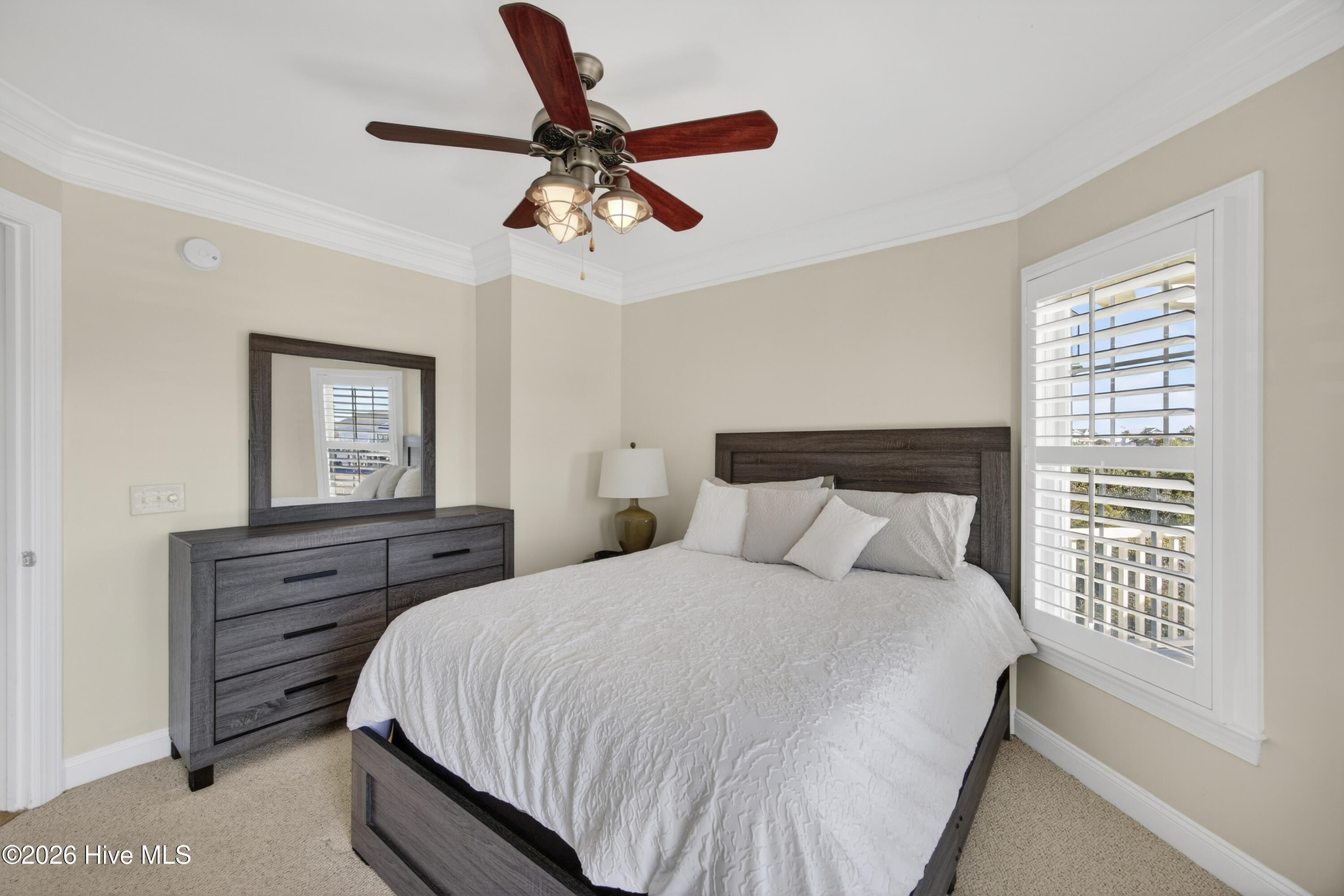 100554981 | Photo 91