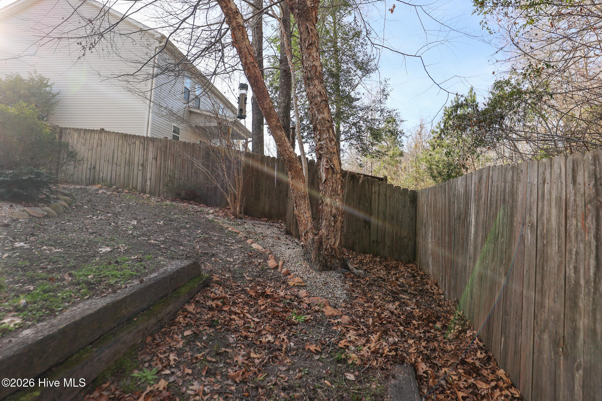 100559390 | Photo 53