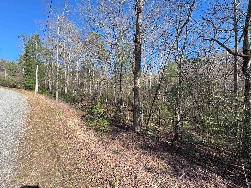 Exterior photo of LOT 34C Snowbird Trail, Marble, NC 28905. MLS: 98543234