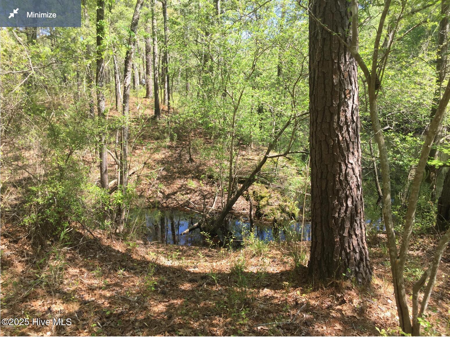 Homes for sale in Burgaw, NC | 0 Hwy 53, Burgaw, NC 28425 | MLS# 100537472