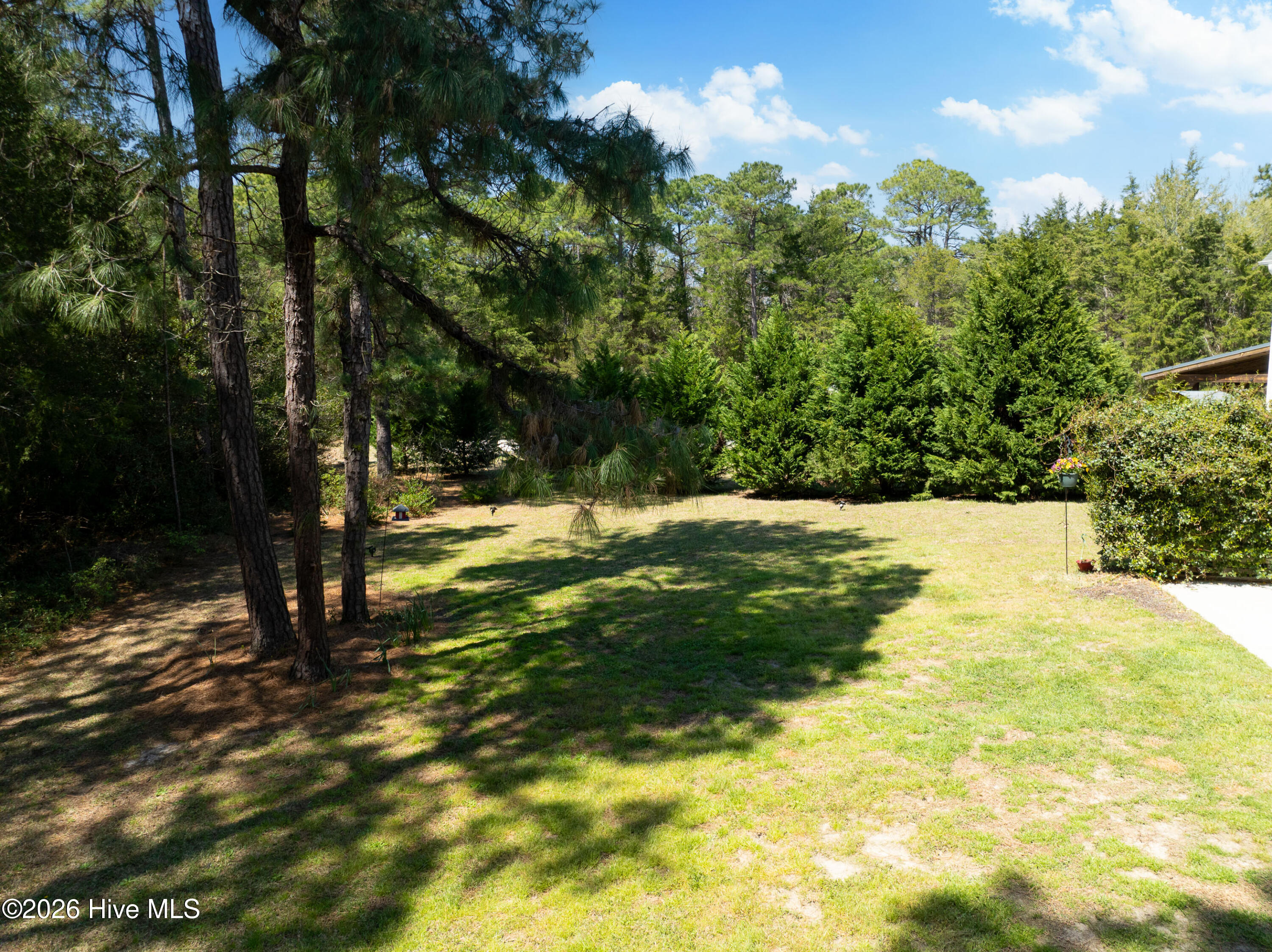 100563576 | Photo 52