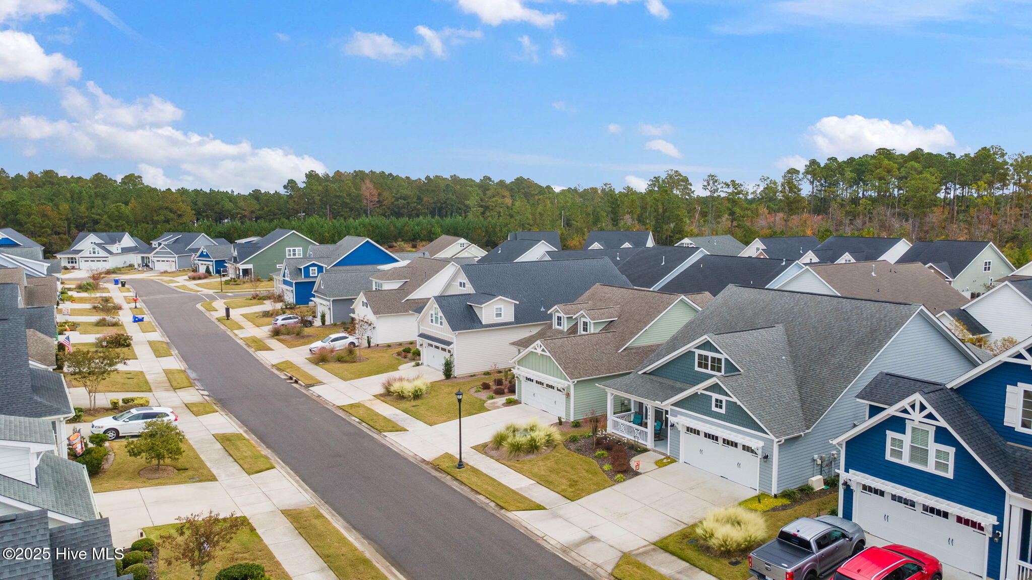 100541268 | Photo 47