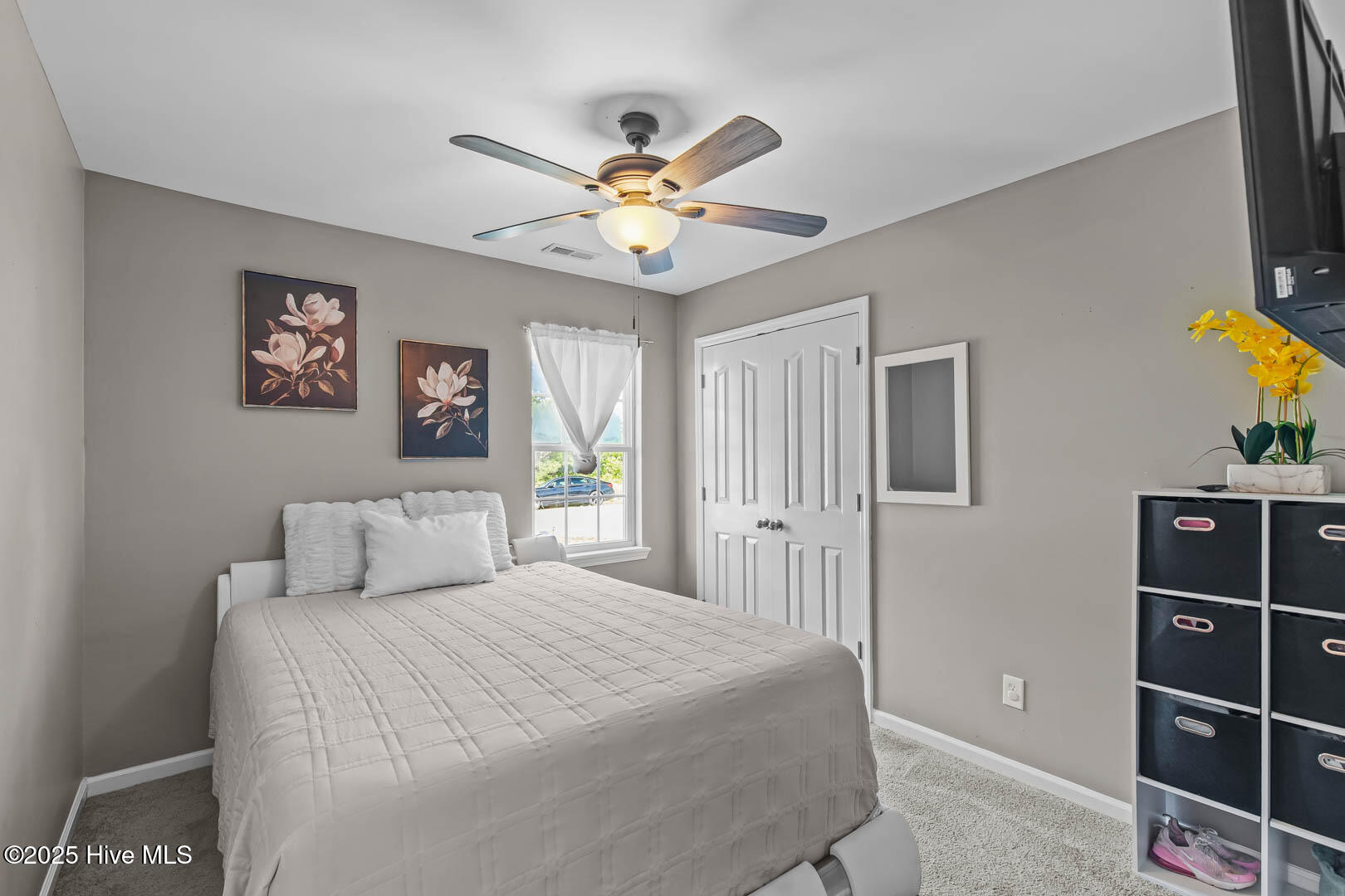 100515943 | Photo 19