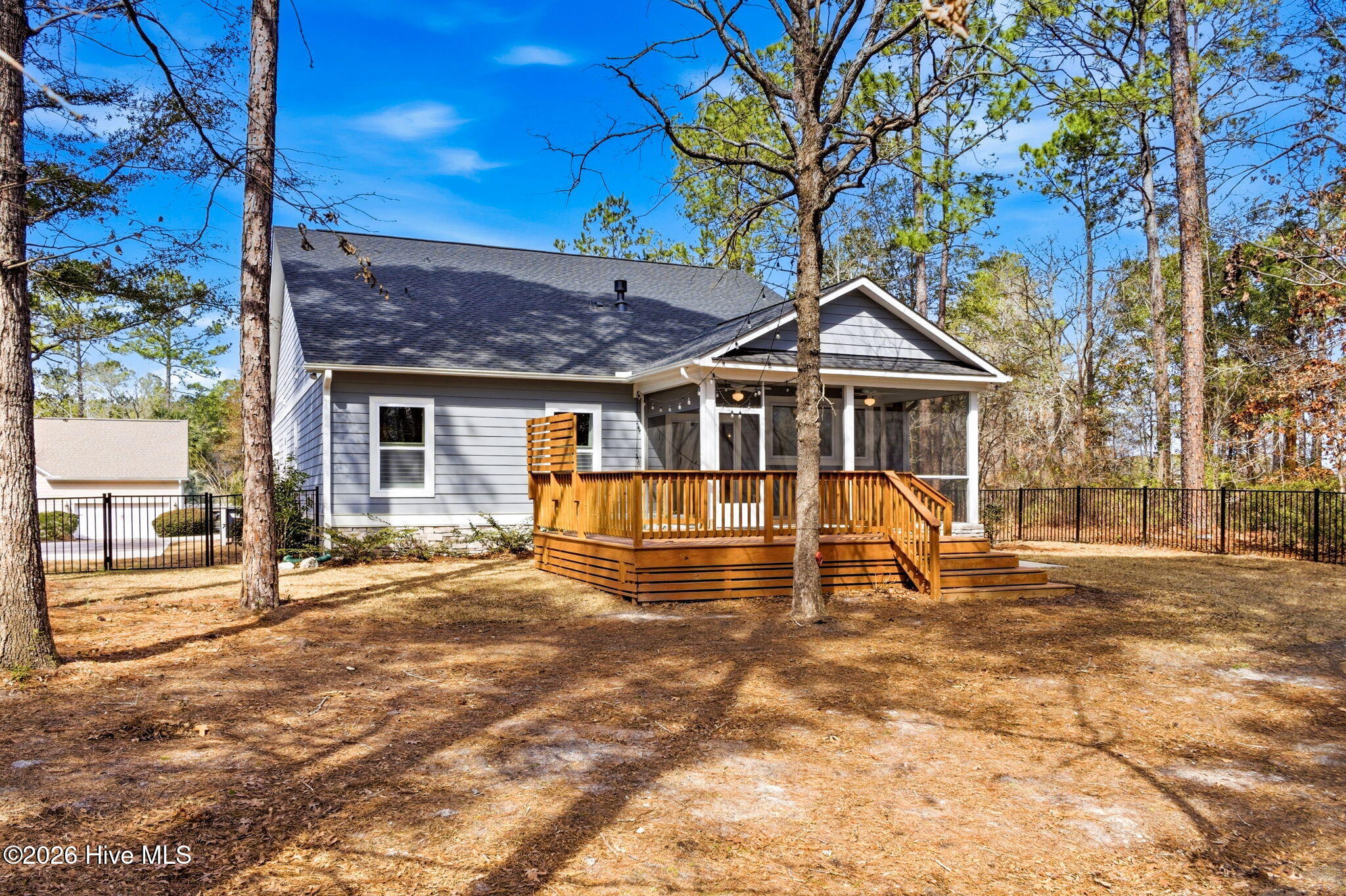 100558607 | Photo 47