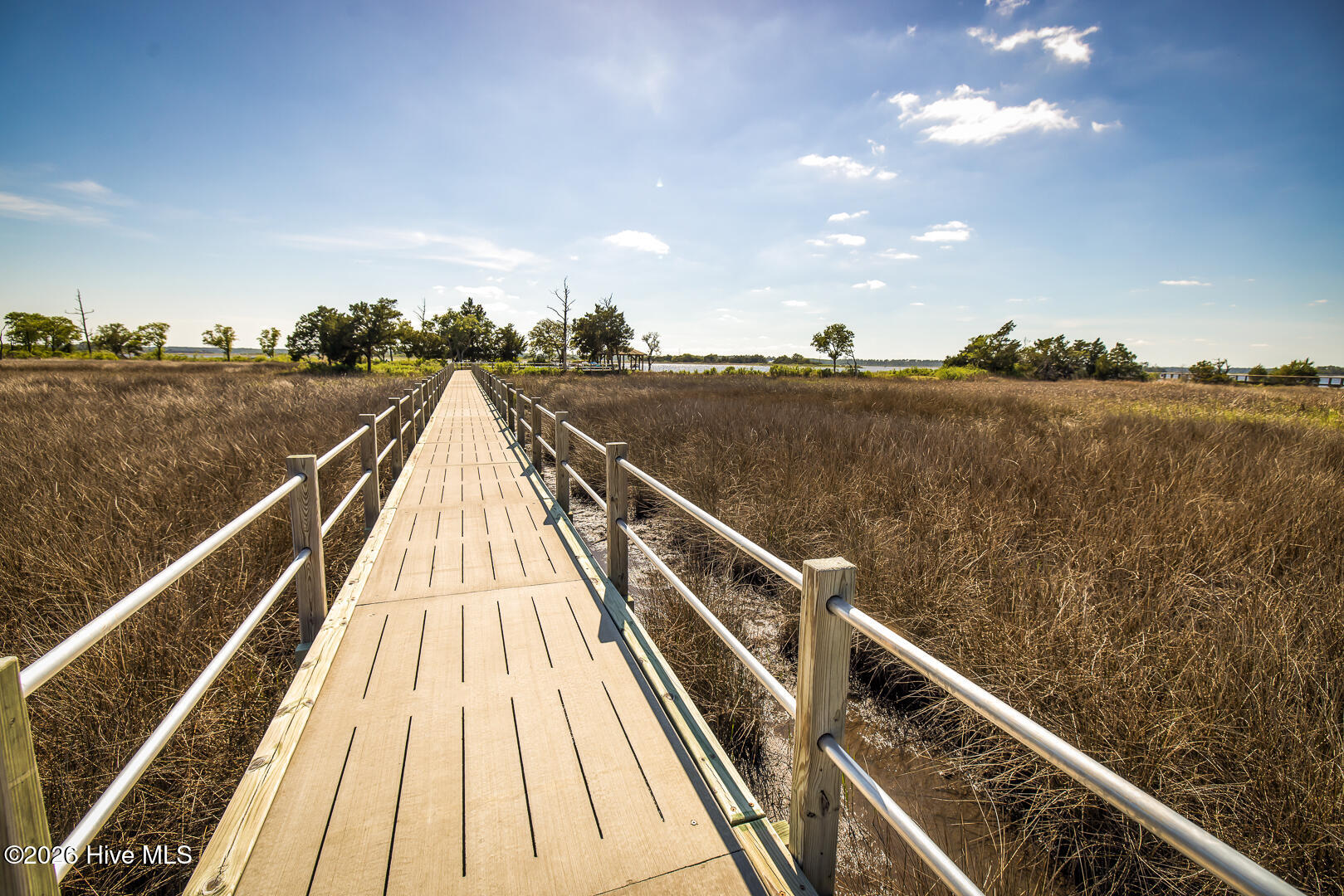 100570599 | Photo 32