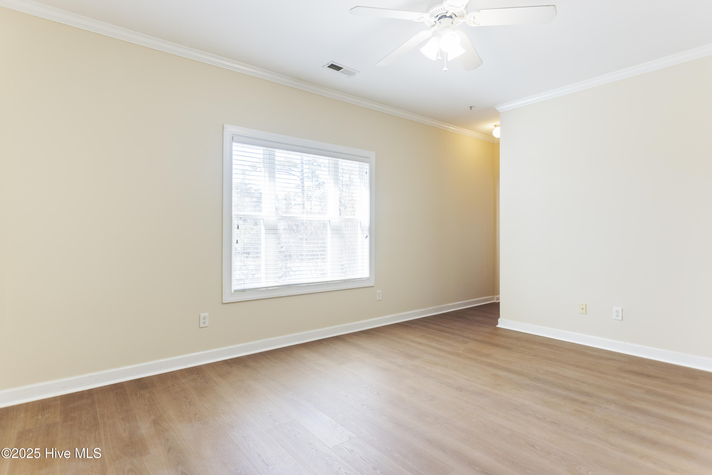 100486199 | Photo 25