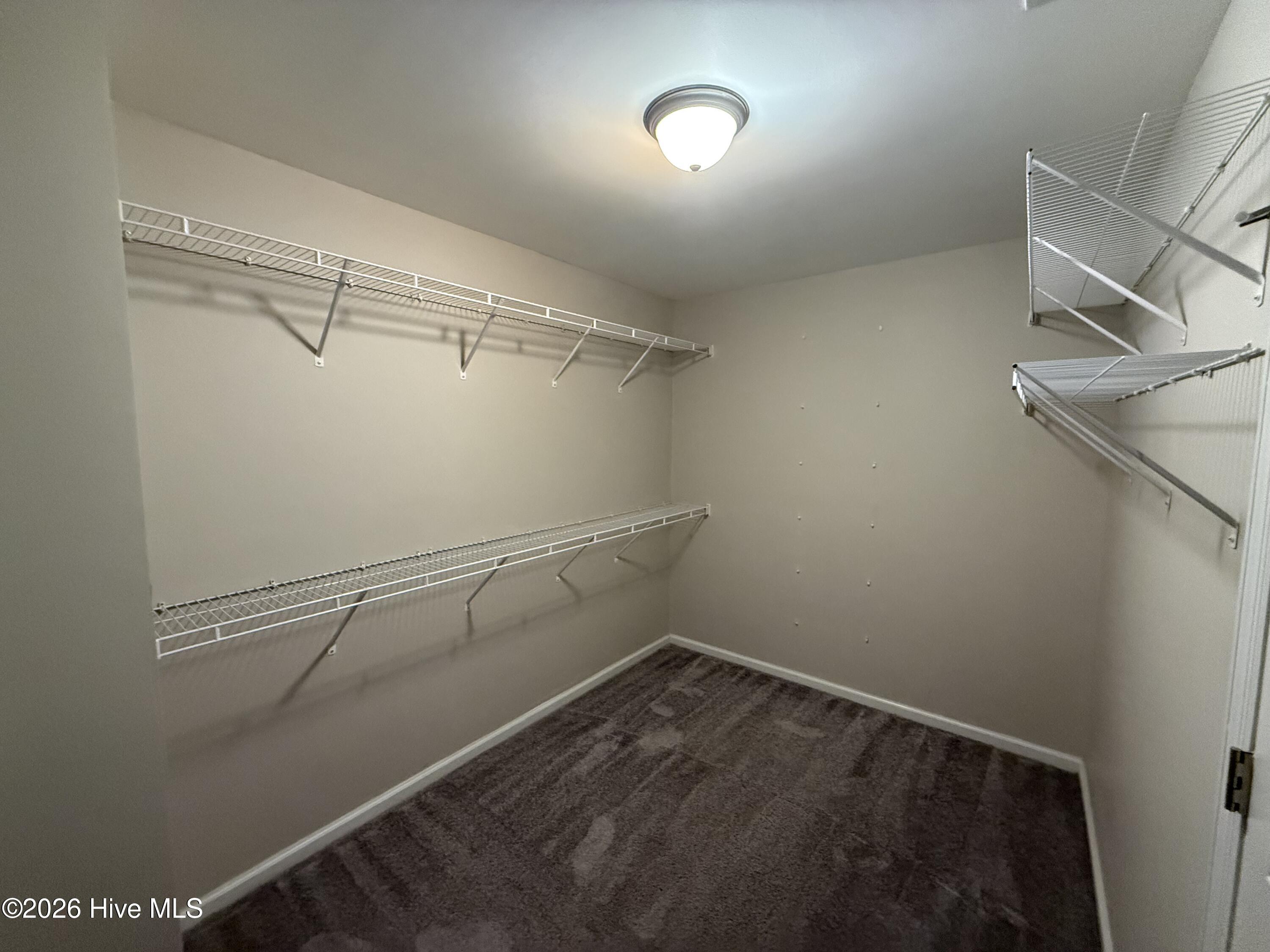 100546488 | Photo 17