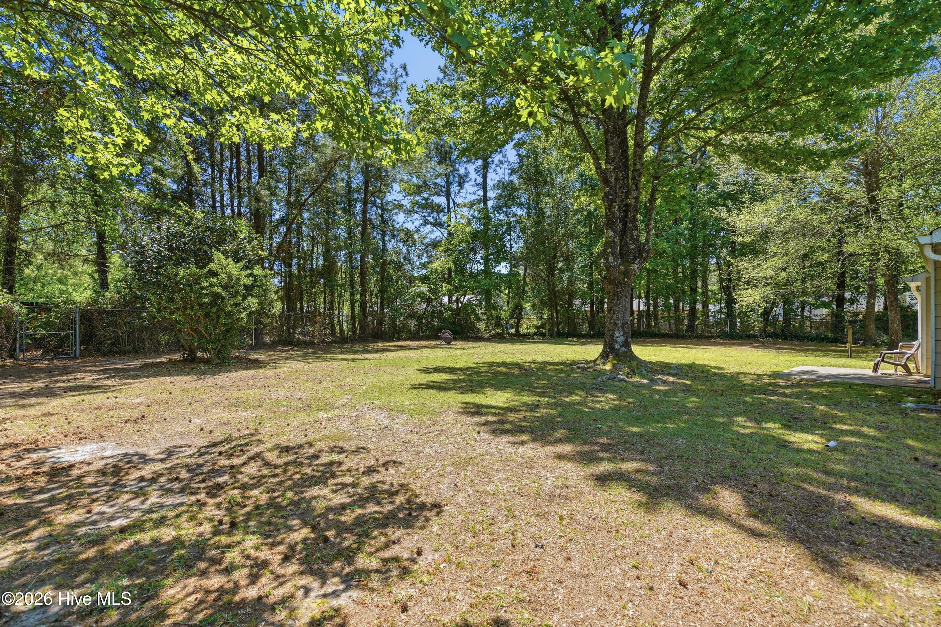 220 E Lakeridge Landing, Jacksonville, NC 28546 – photo 23: 220 E Lakeridge Landing _ 9