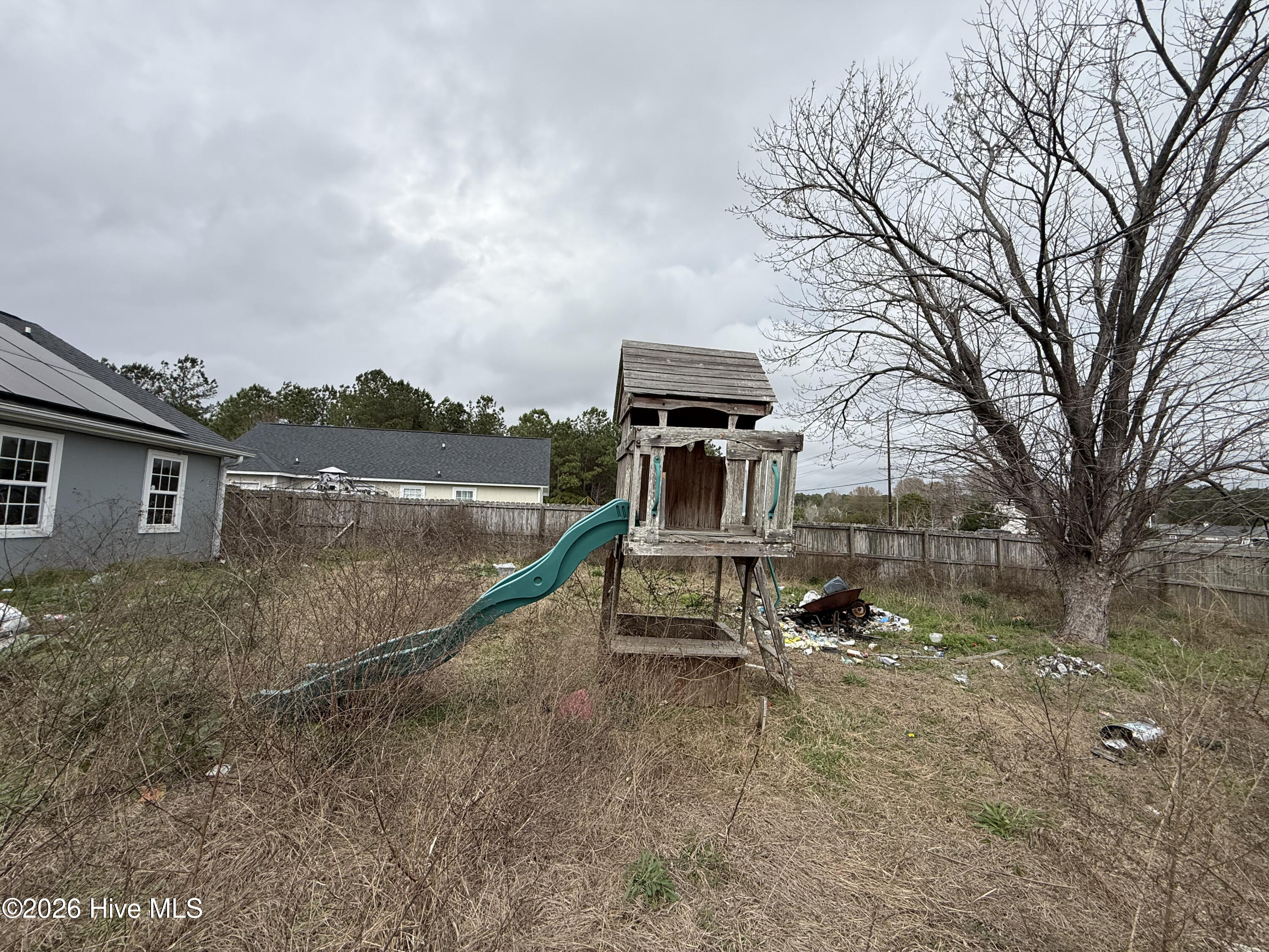 100562239 | Photo 34