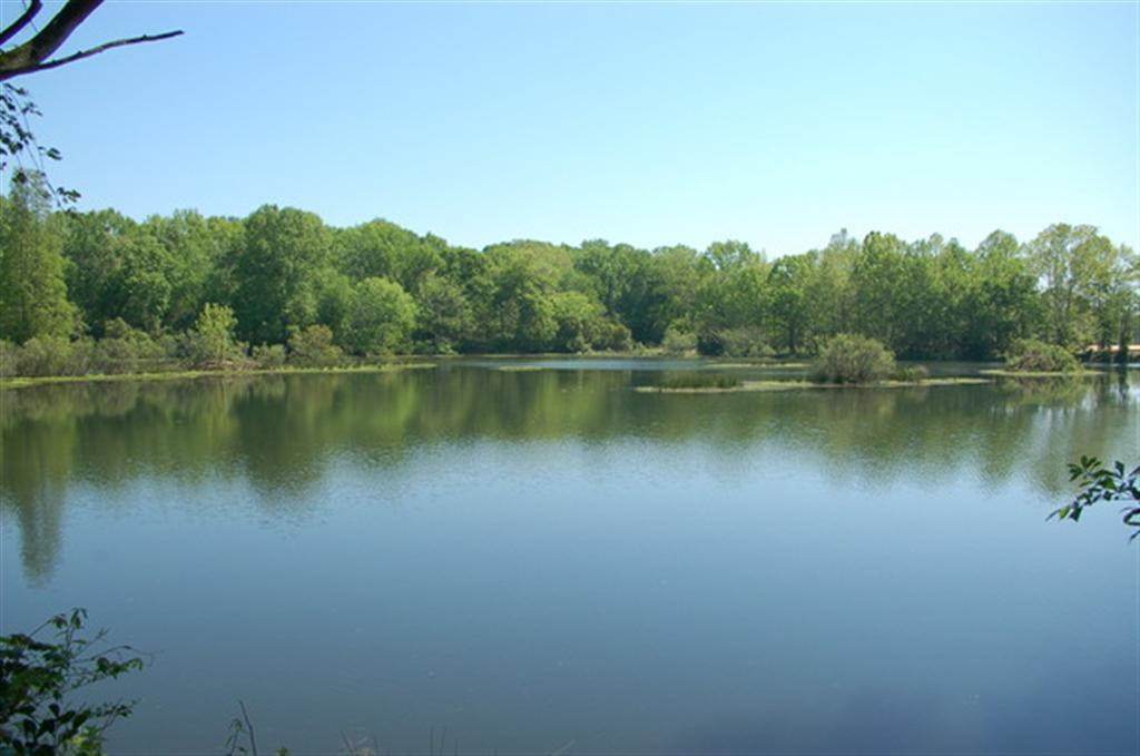 712 Railroad Avenue, North Augusta, SC 29841 Listing Photo  7
