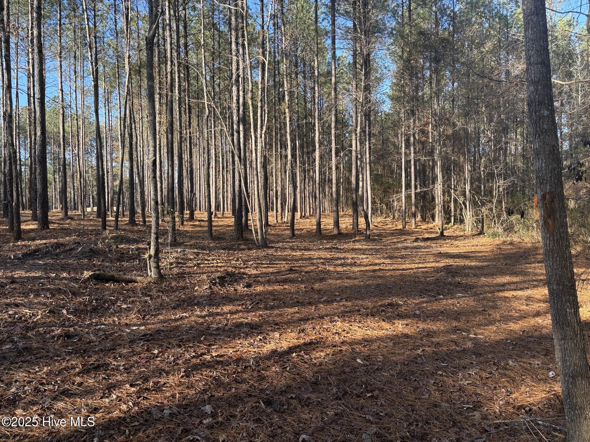 3227 Lee Landing Road, New Bern, NC, 28560