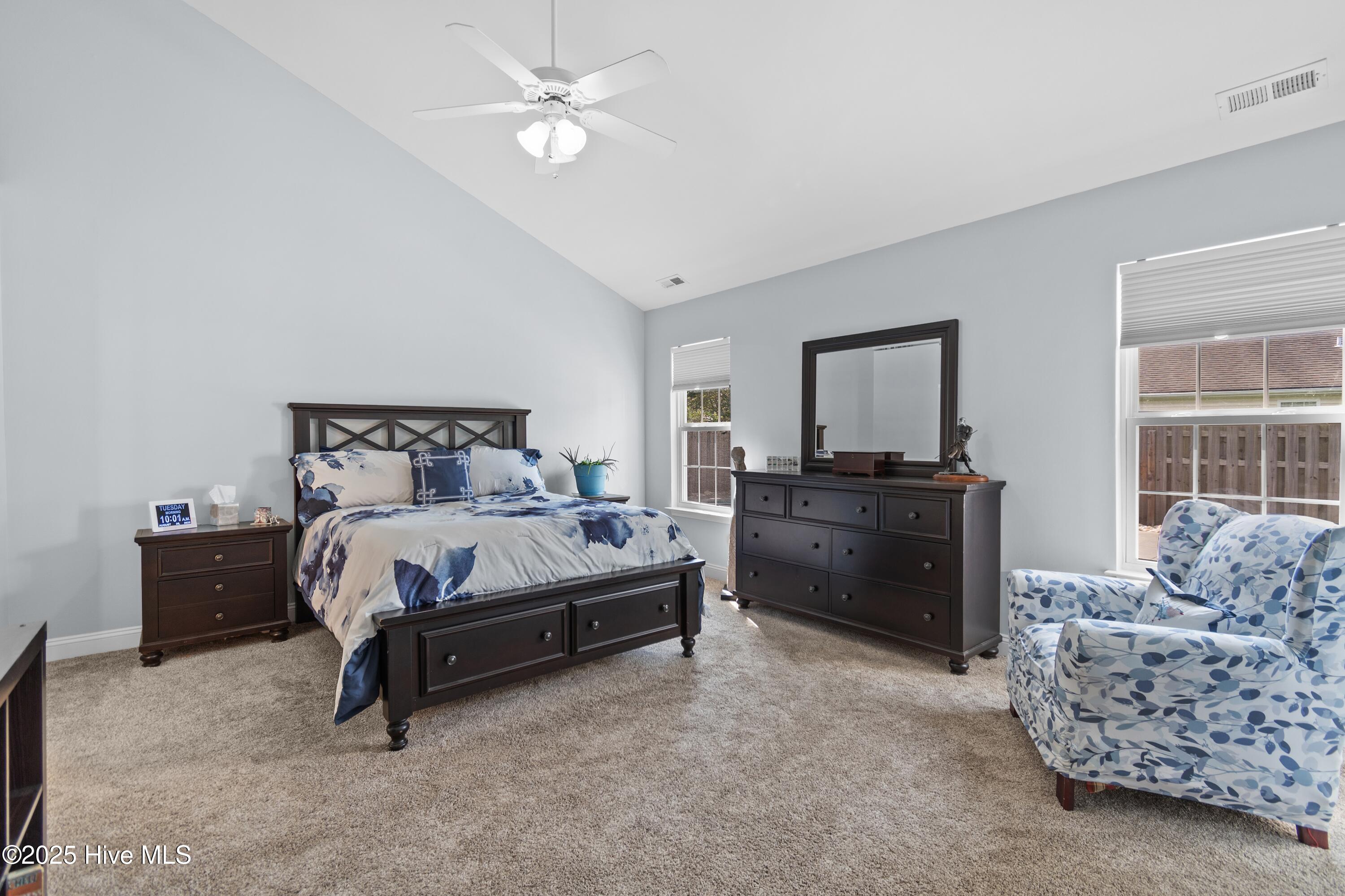 100526864 | Photo 20