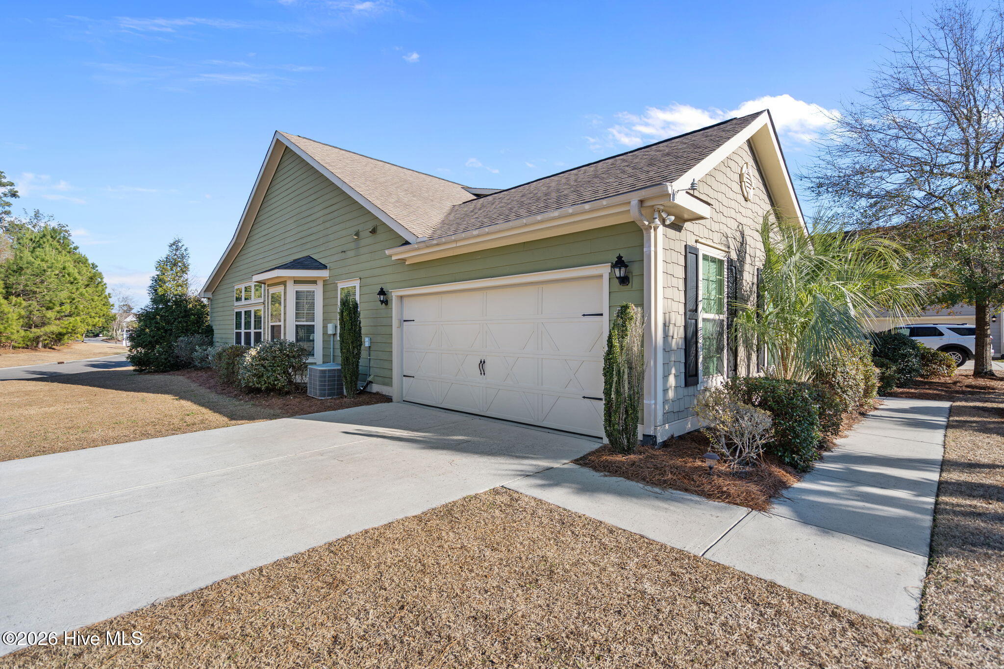 100554363 | Photo 46