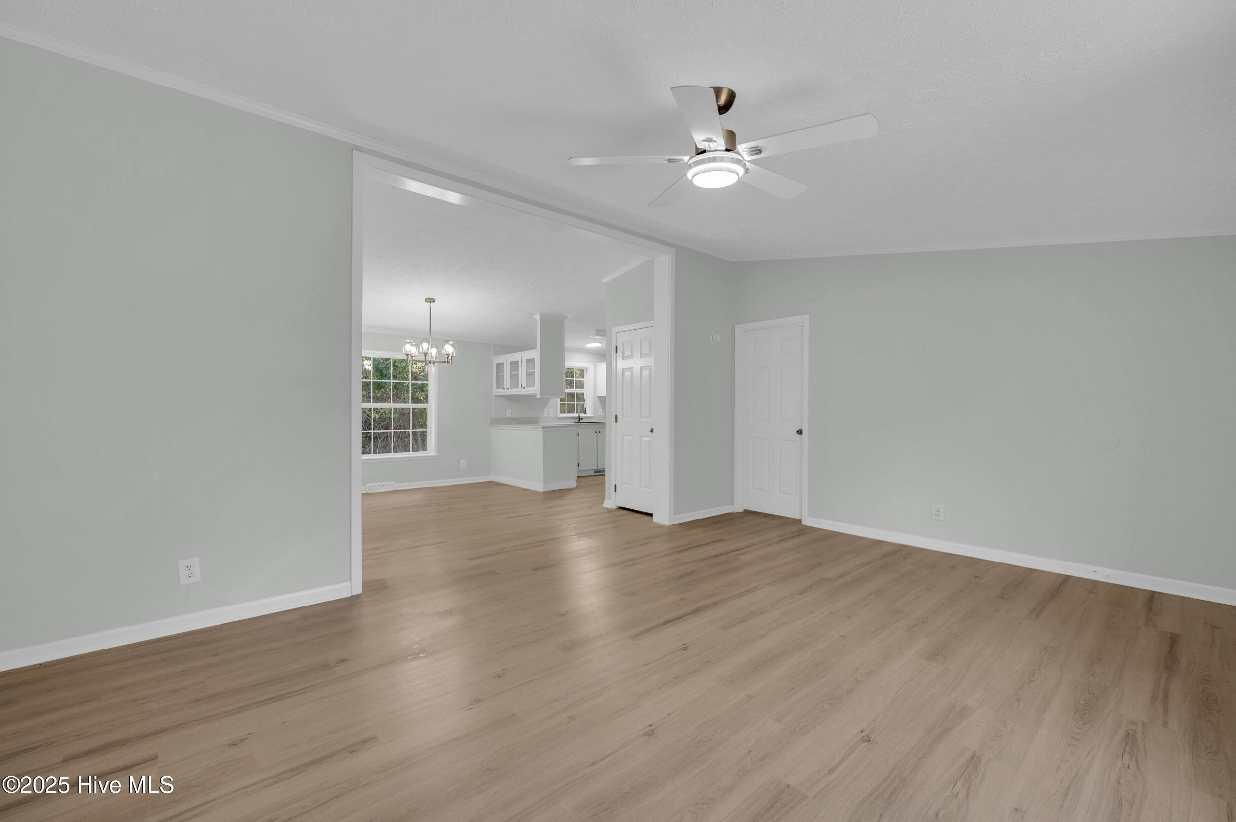 100537277 | Photo 10