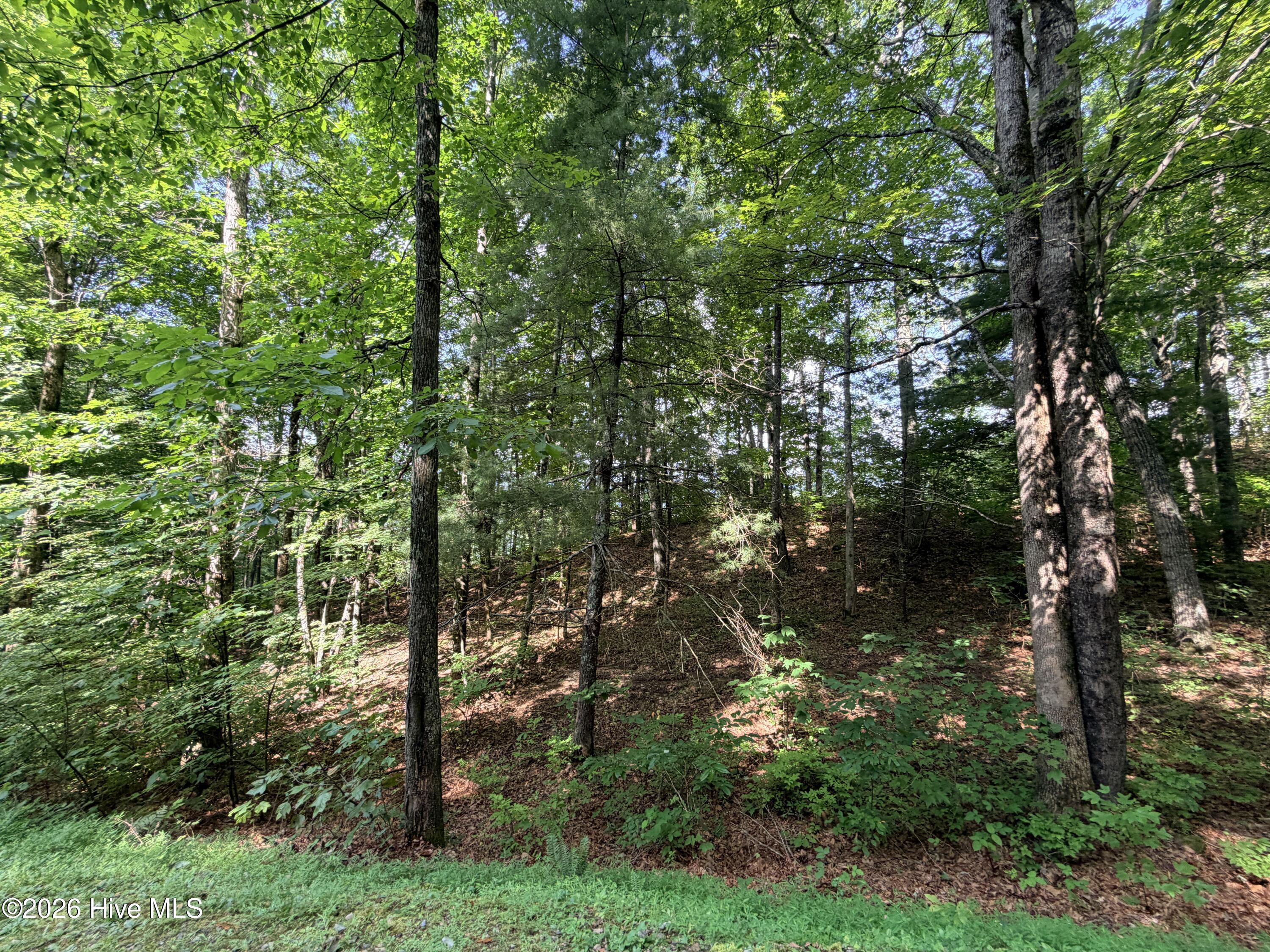 Exterior photo of Lot 7 Mystic Ridge Way W, Topton, NC 28781. MLS: 100596645