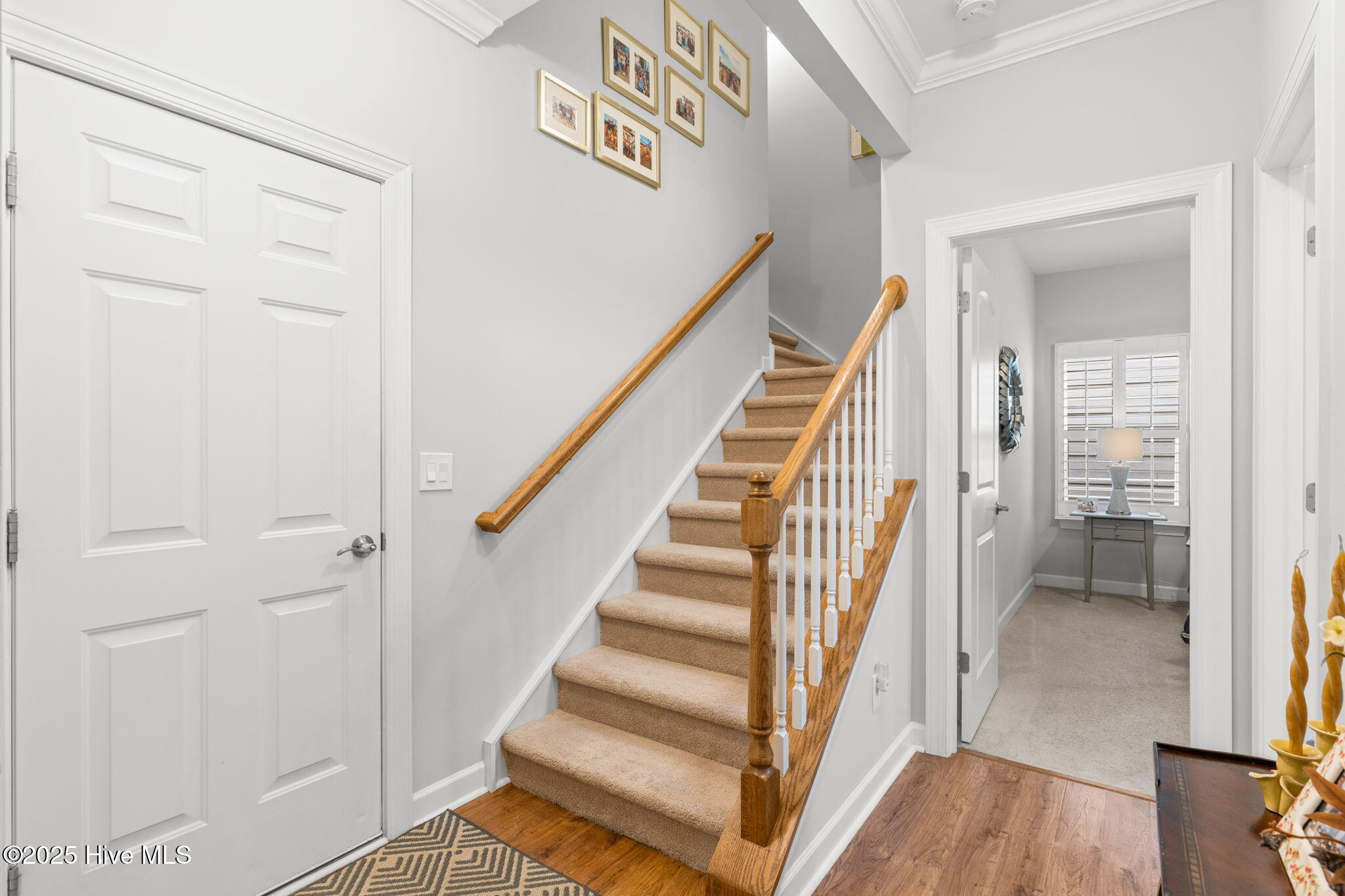 100536168 | Photo 32