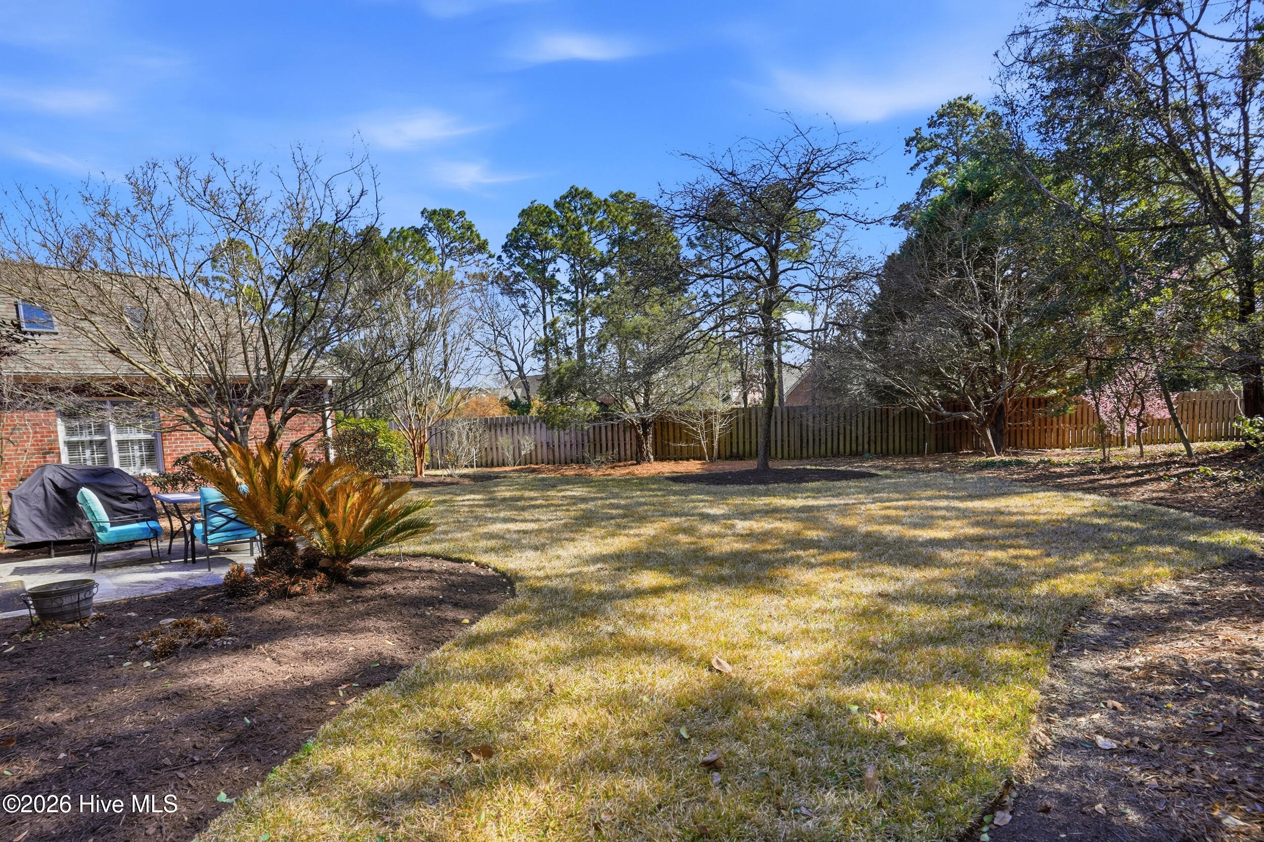 100556921 | Photo 40