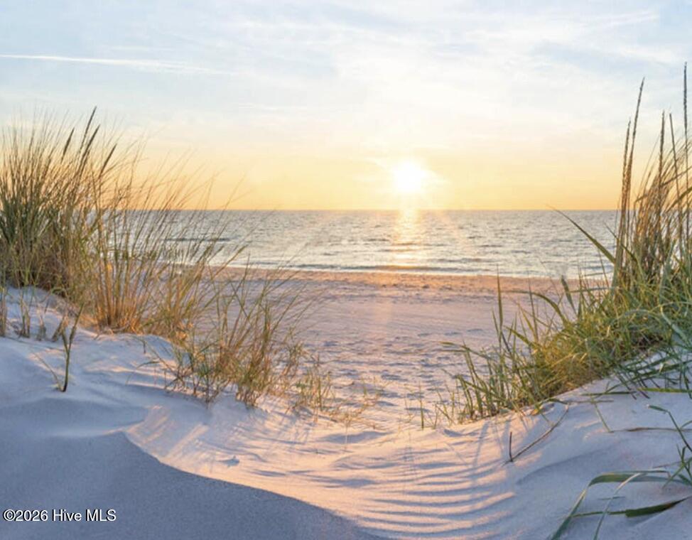 100565490 | Photo 56