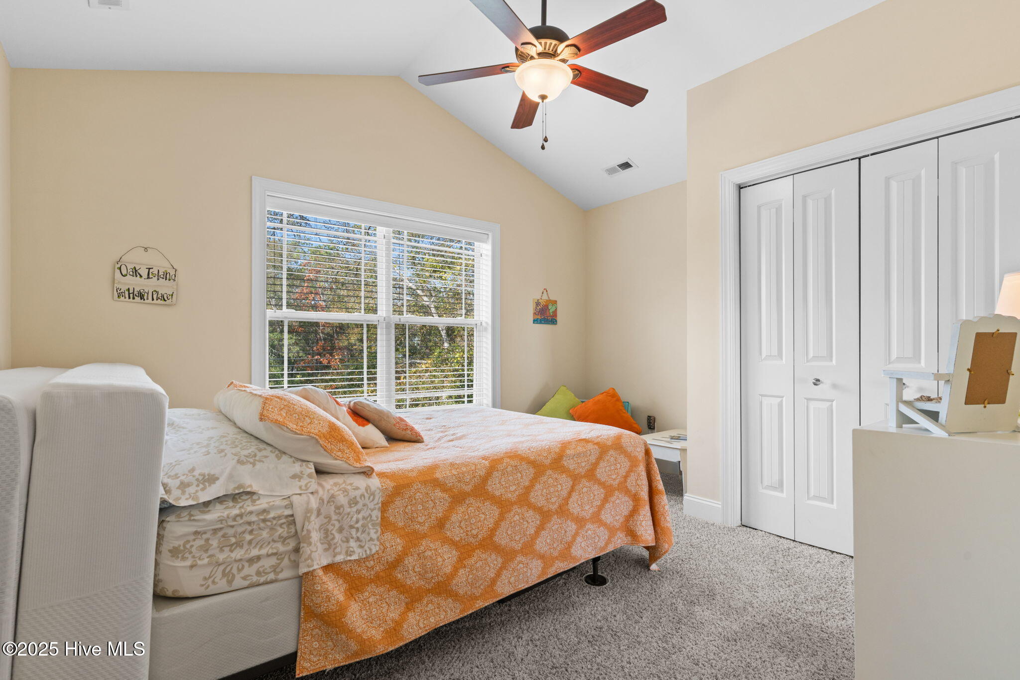 100546852 | Photo 19